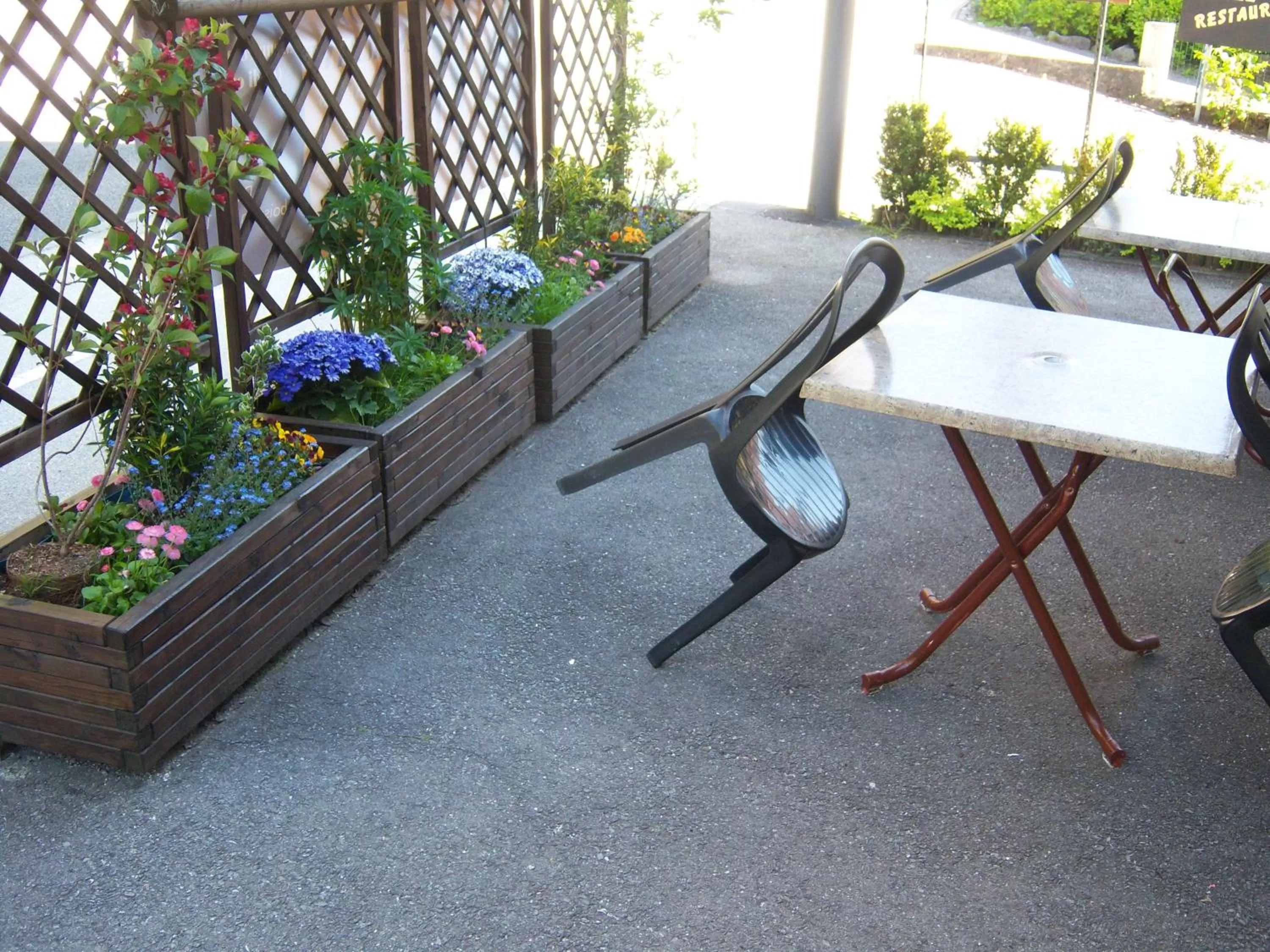 Patio in Hotel Edelweiss