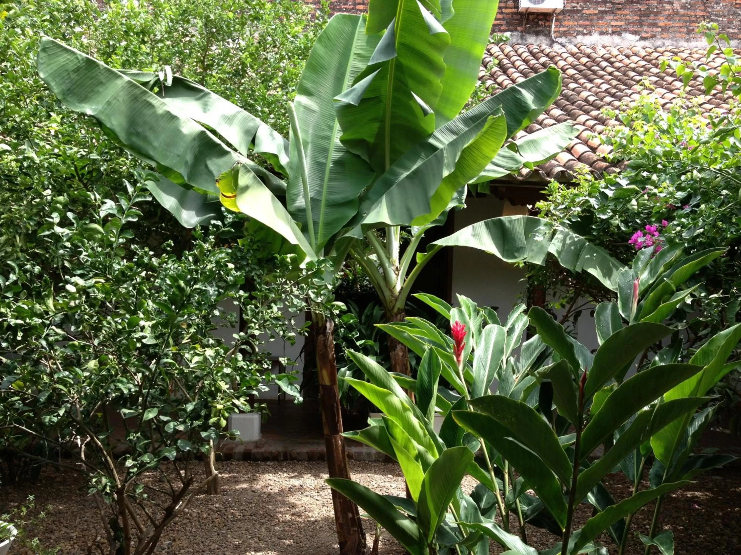 Day in Portal de la Marquesa