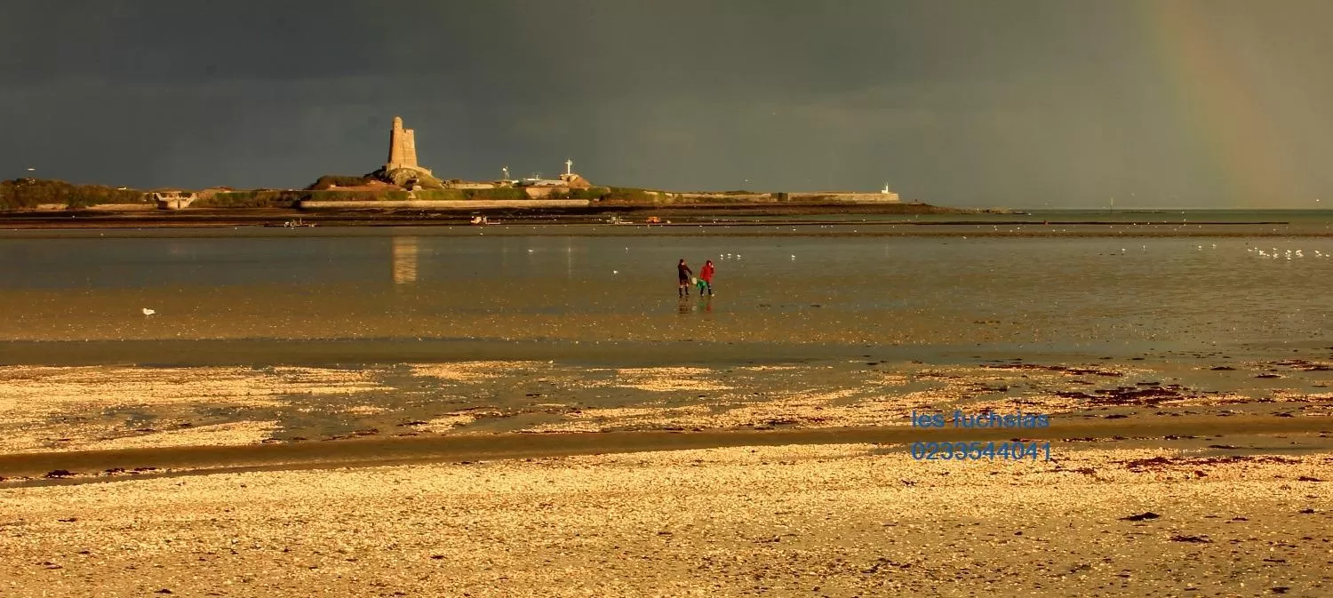 Beach in Hotel de France