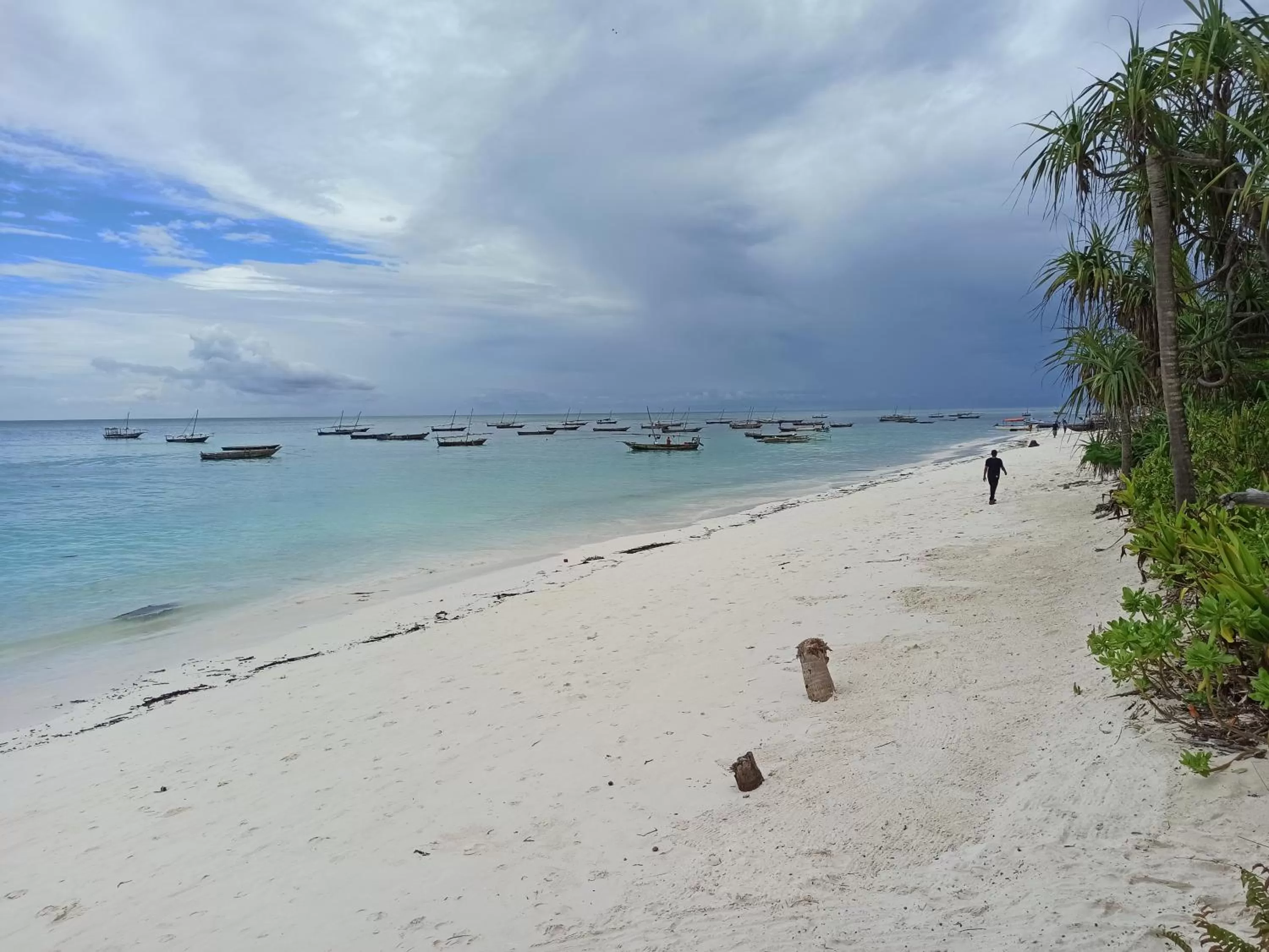 Beach in Cocolala Beach House