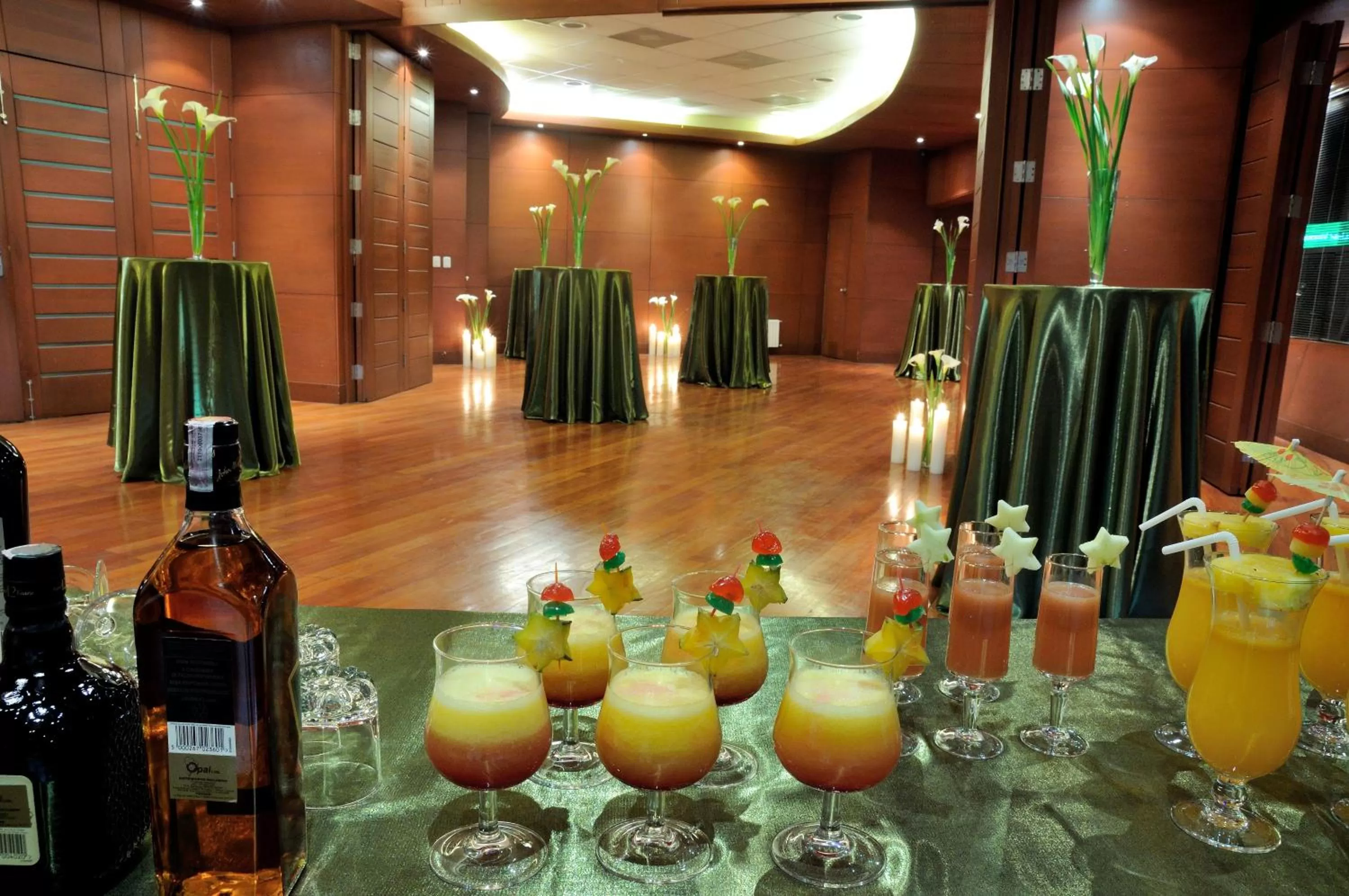 Banquet/Function facilities in Suites Camino Real