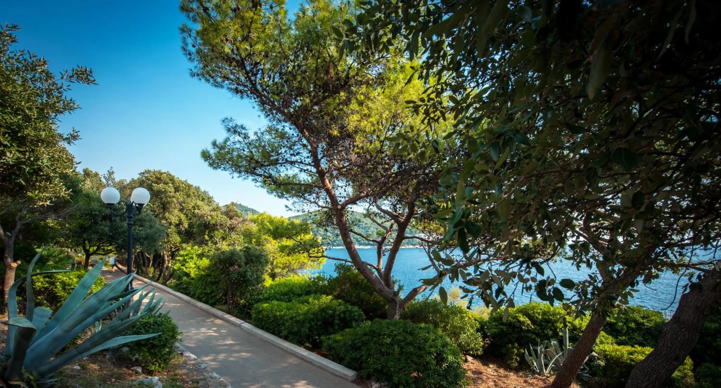 Area and facilities in Royal Princess Hotel