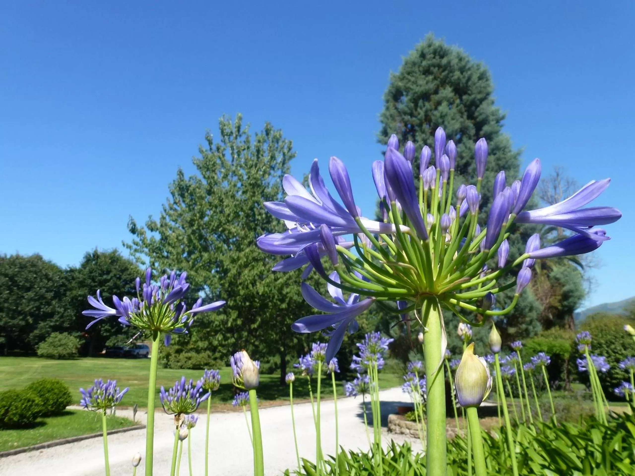 Garden in Jardin de Carrejo