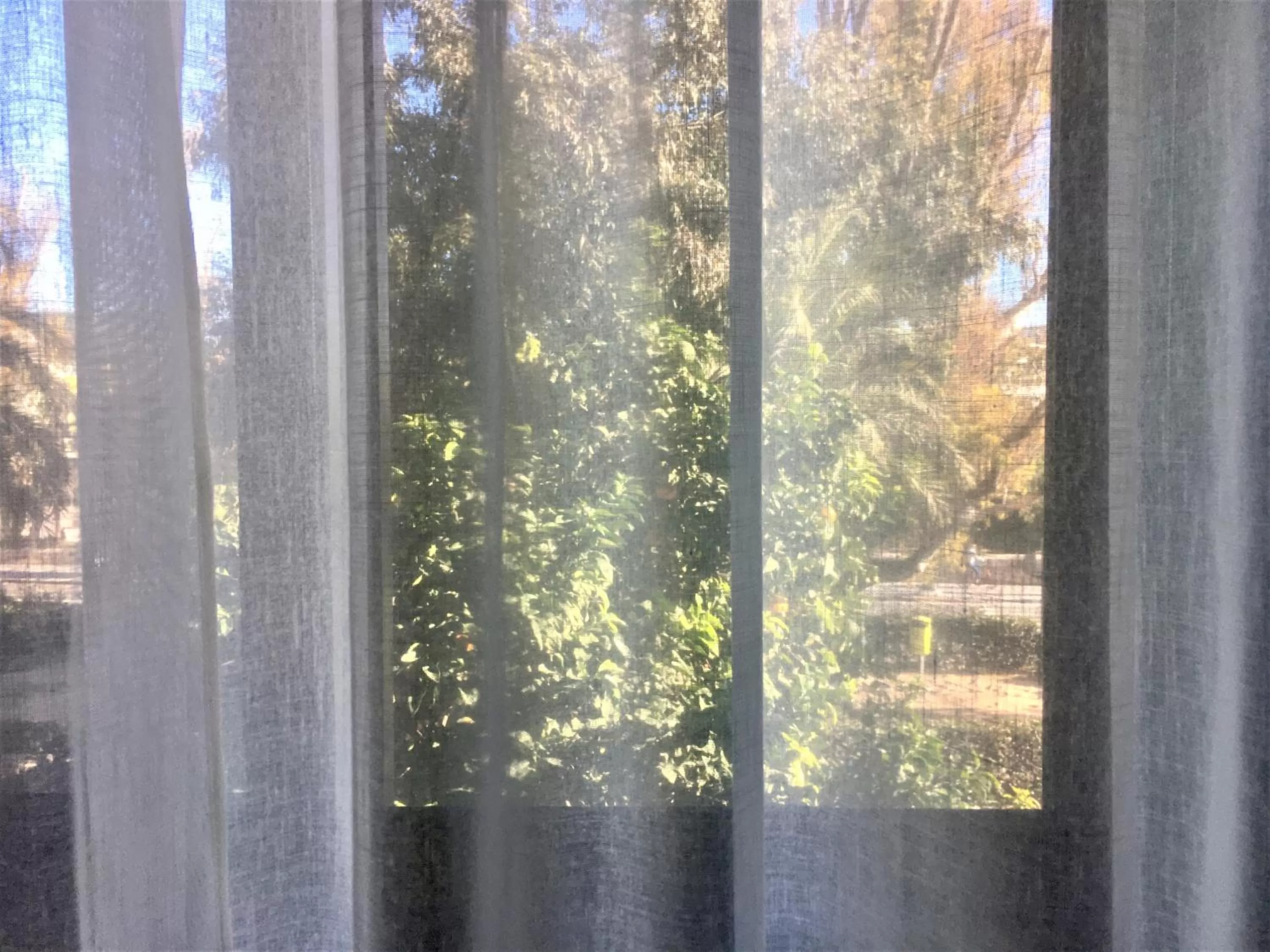 Bed in MD Modern Hotel - Jardines