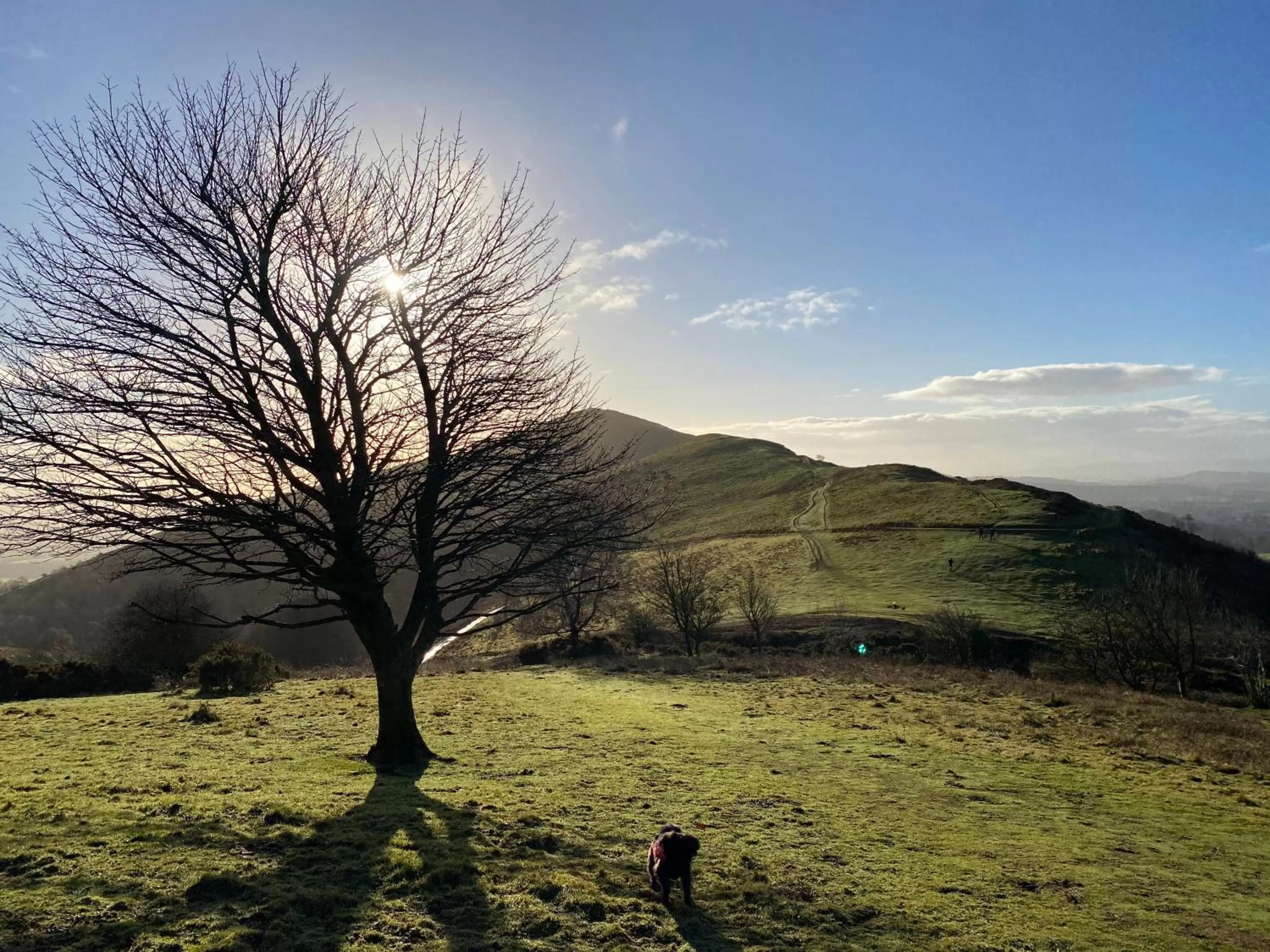 Natural landscape in Orchard Side Bed and Breakfast