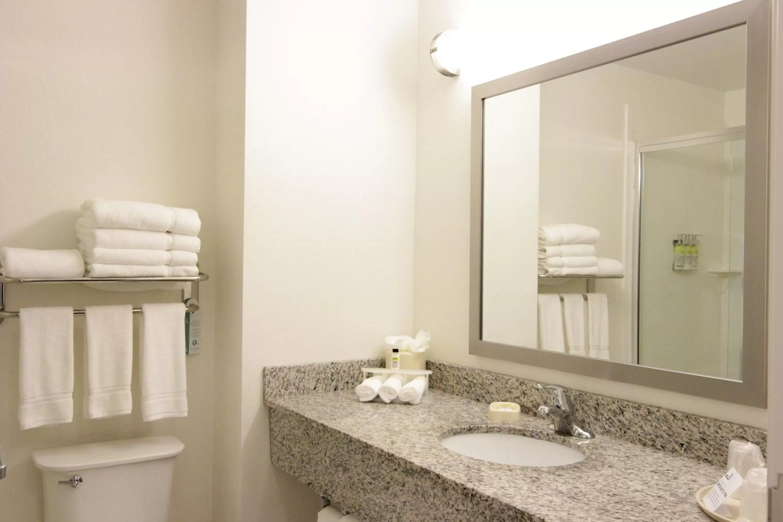Bathroom in Holiday Inn Express and Suites Montgomery by IHG