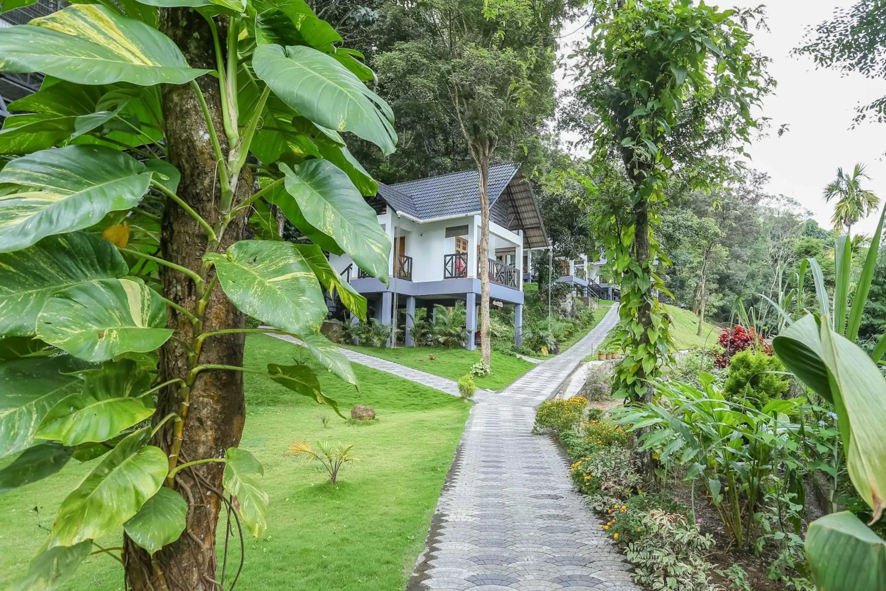 Property Building in Woodrose Resort