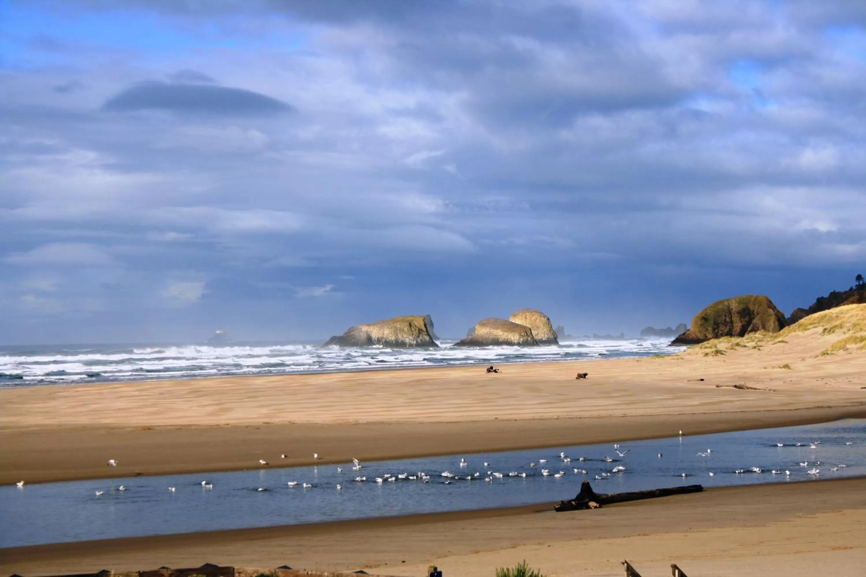 Sea view, Beach in The Waves