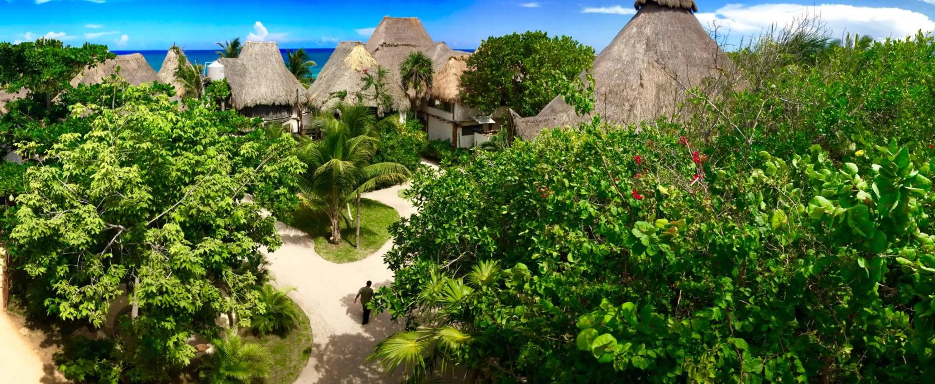 Garden in Amansala Resort