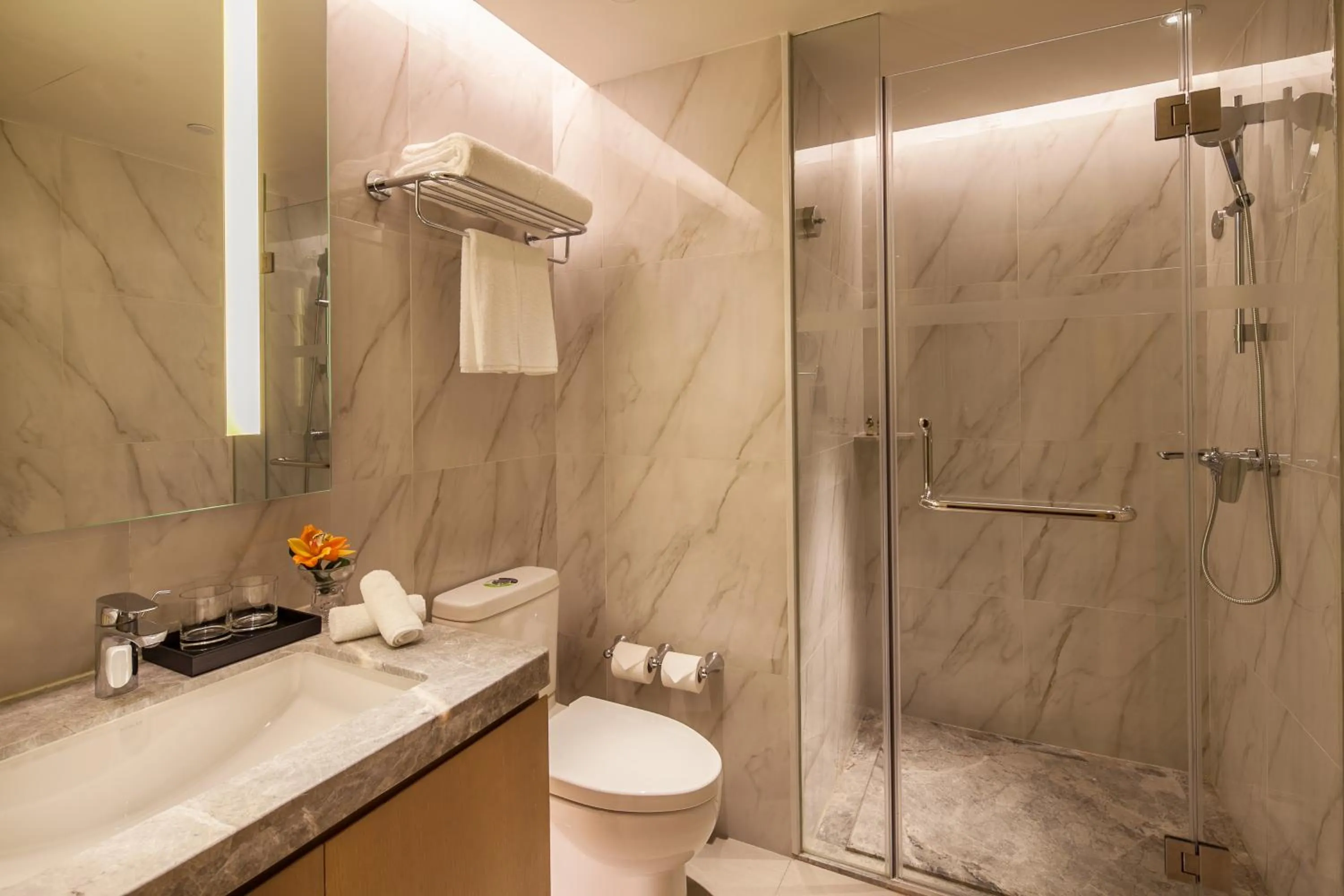 Shower in Somerset Xindicheng Xi'an