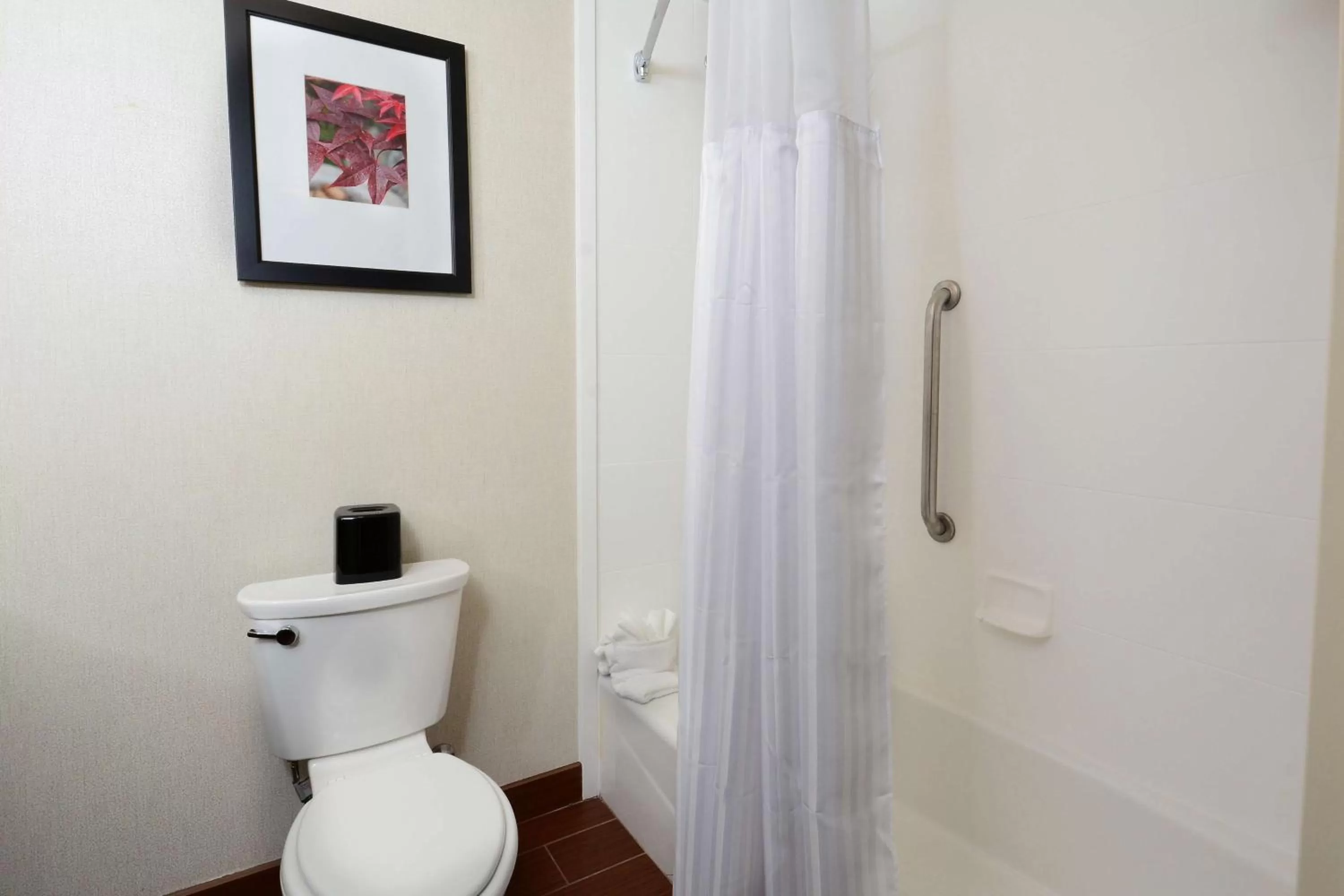 Bathroom in Hilton Garden Inn Greensboro Airport