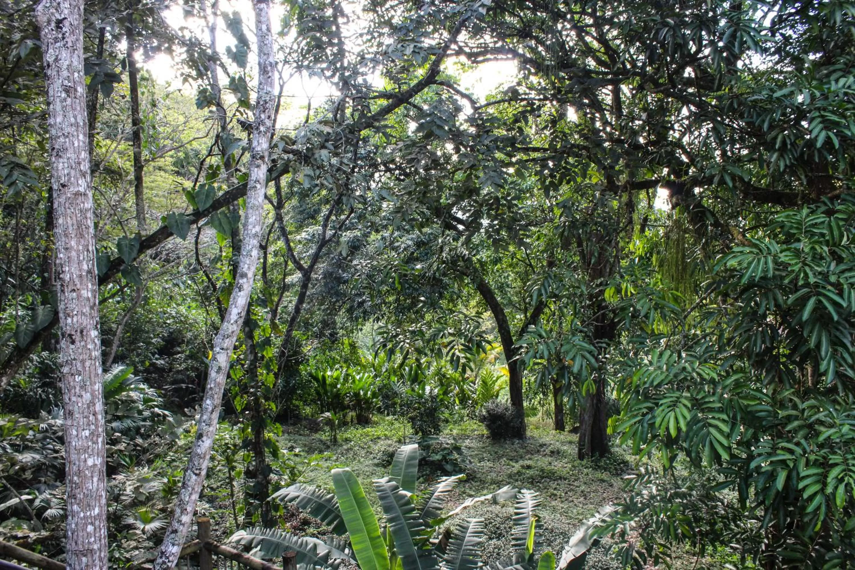 Property building in Rio Escondido