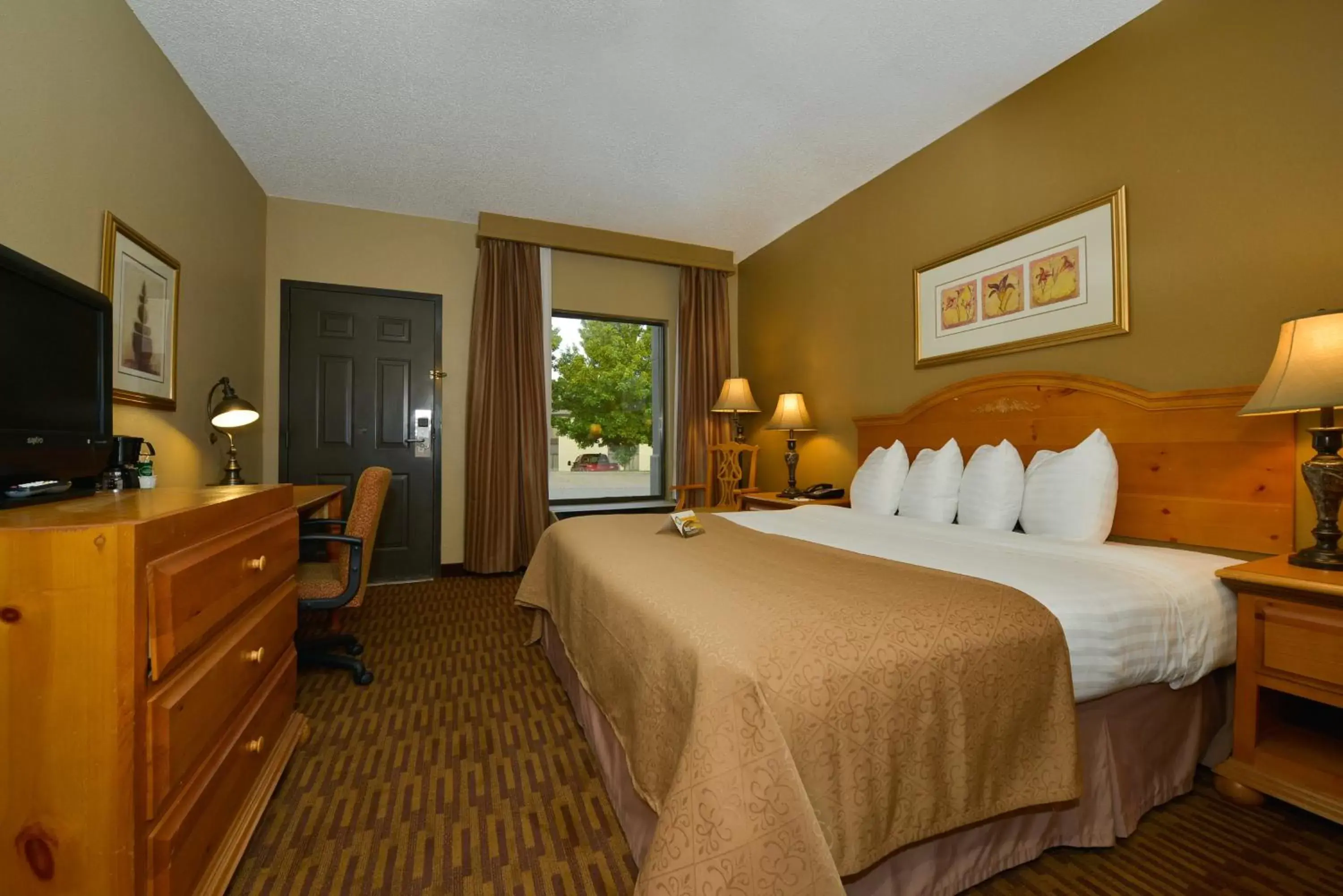 King Room - Non-Smoking in Quality Inn US65 & E Battlefield Rd Springfield King Room - Non-Smoking in Quality Inn US65 & E Battlefield Rd Springfield