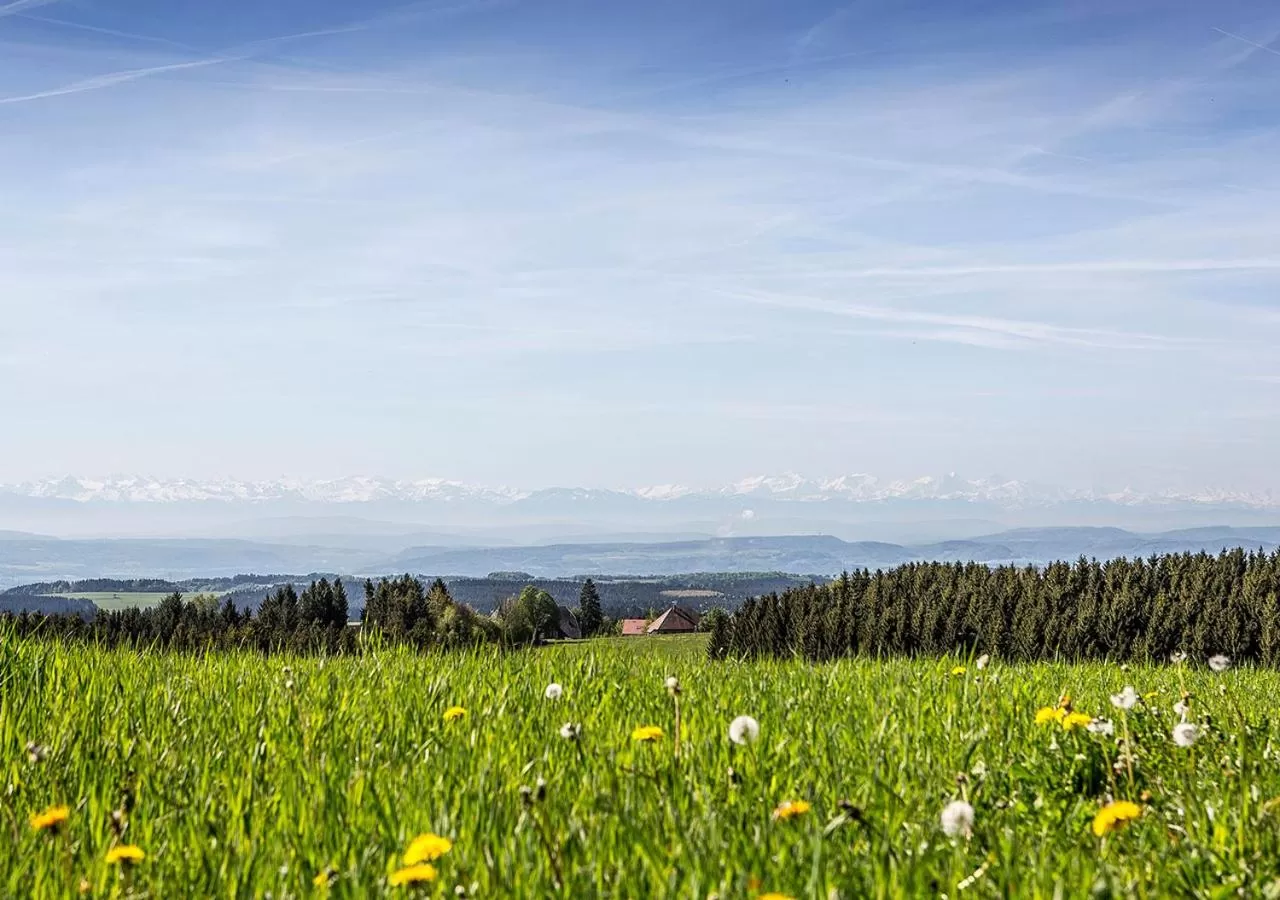 Spring in Portens Hotel Fernblick