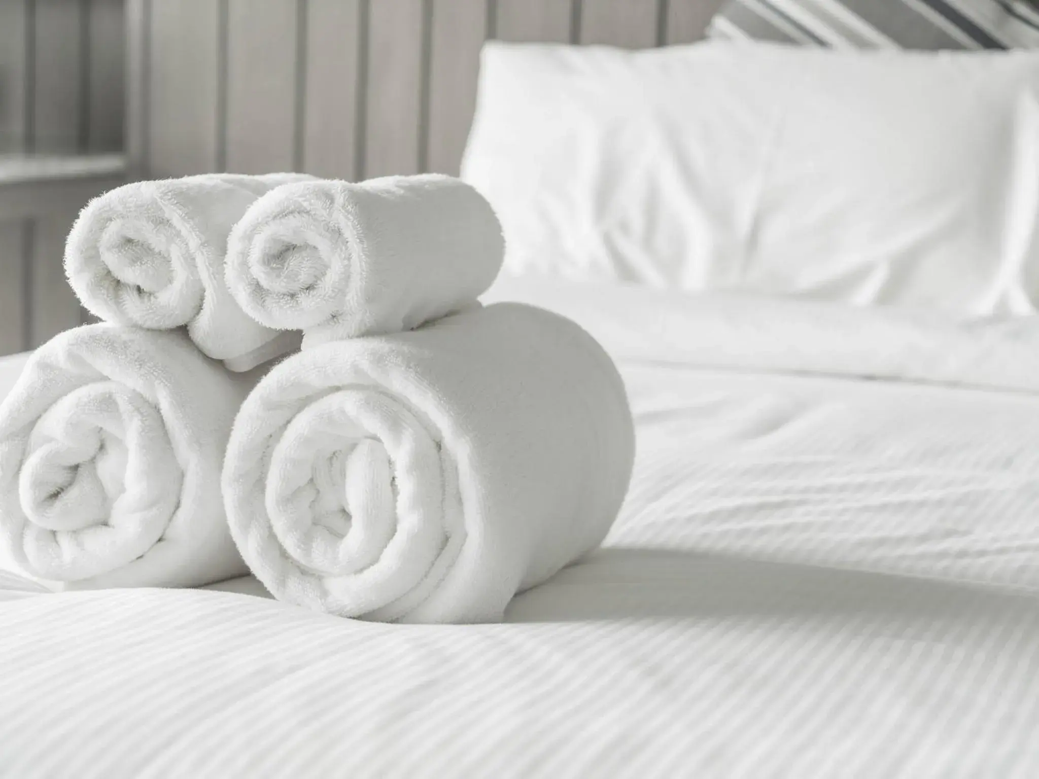 Single Room - single occupancy in Dalaman Airport Lykia Thermal & Spa Hotel Single Room - single occupancy in Dalaman Airport Lykia Thermal & Spa Hotel