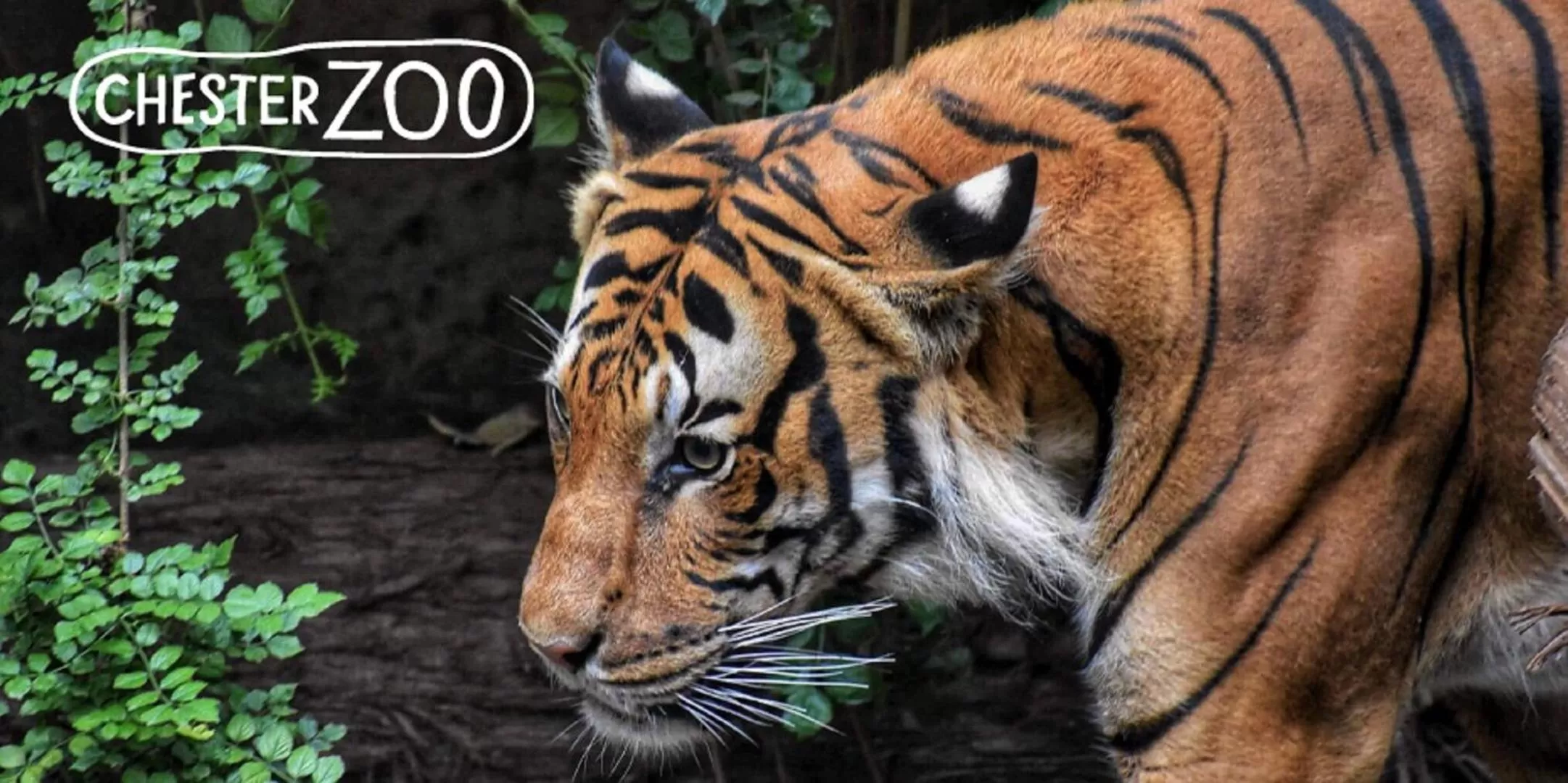 Activities in The Beaches Hotel and Spa