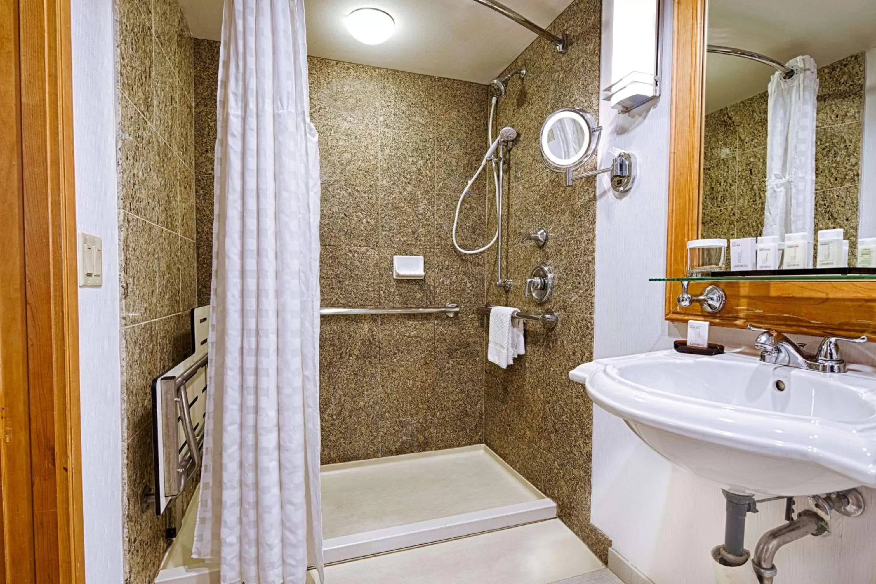 Bathroom in Embassy Suites by Hilton Chicago O'Hare Rosemont