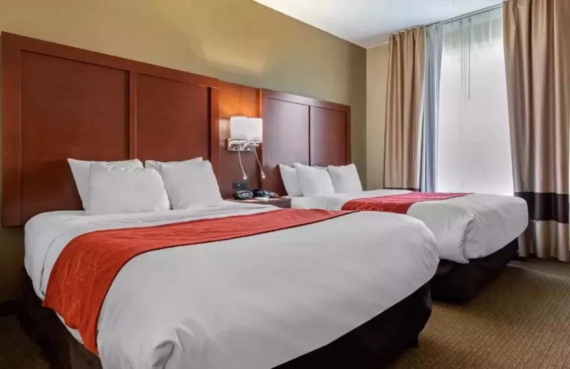 Bed in Holiday Inn Express & Suites Hebron - Cincinnati Airport by IHG