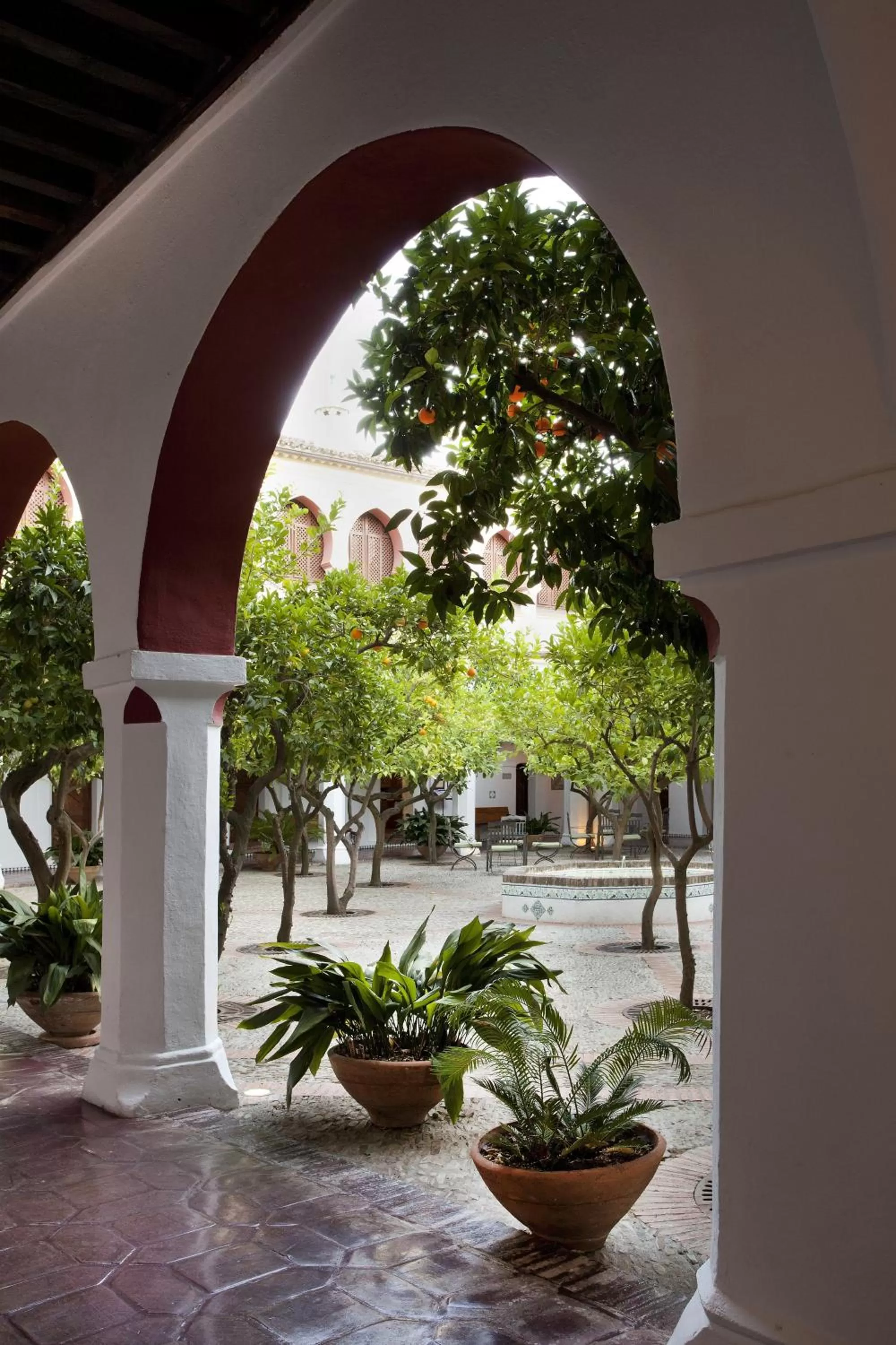 Day in Parador de Guadalupe