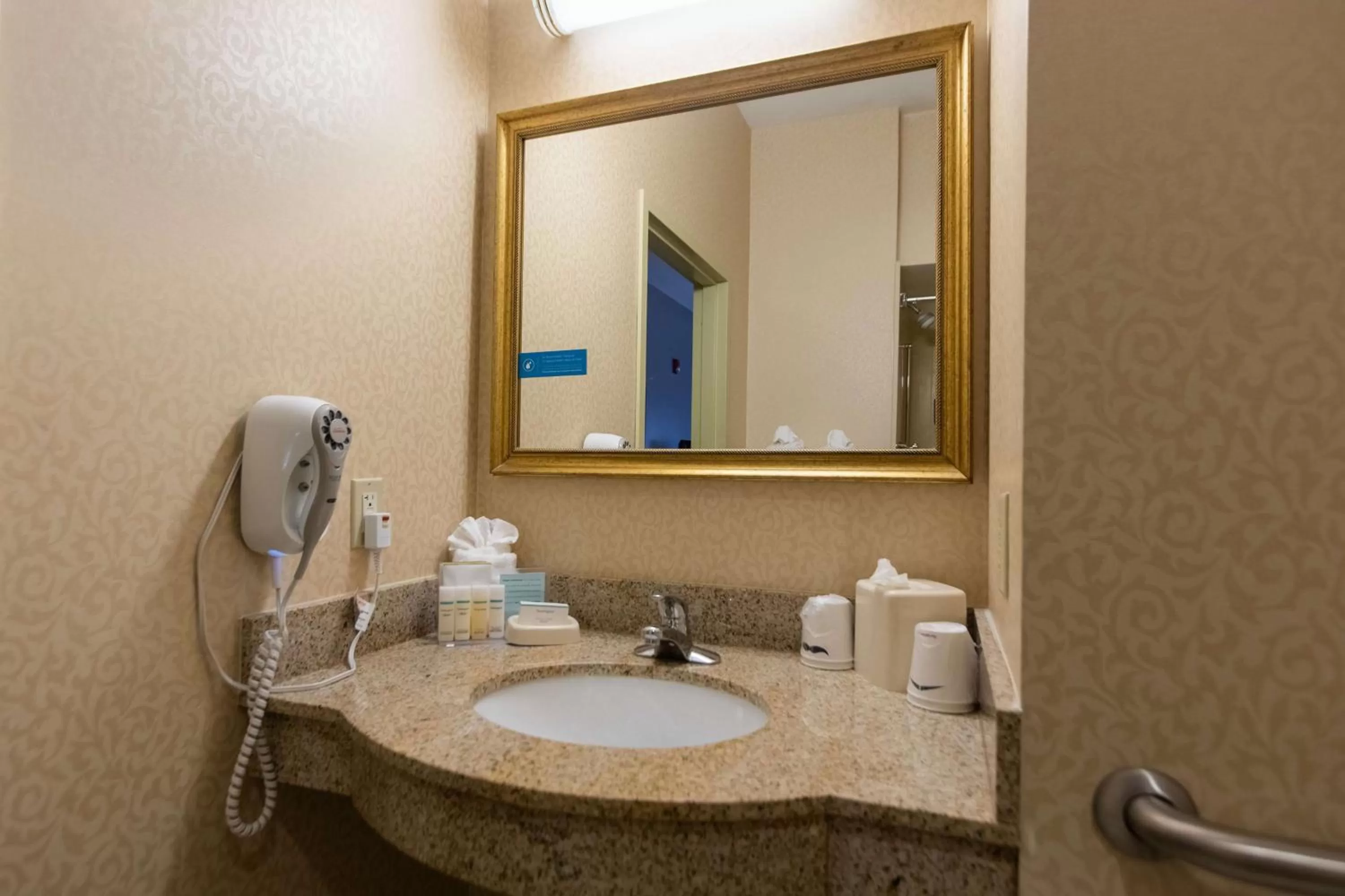 Bathroom in Hampton Inn Hadley-Amherst Area
