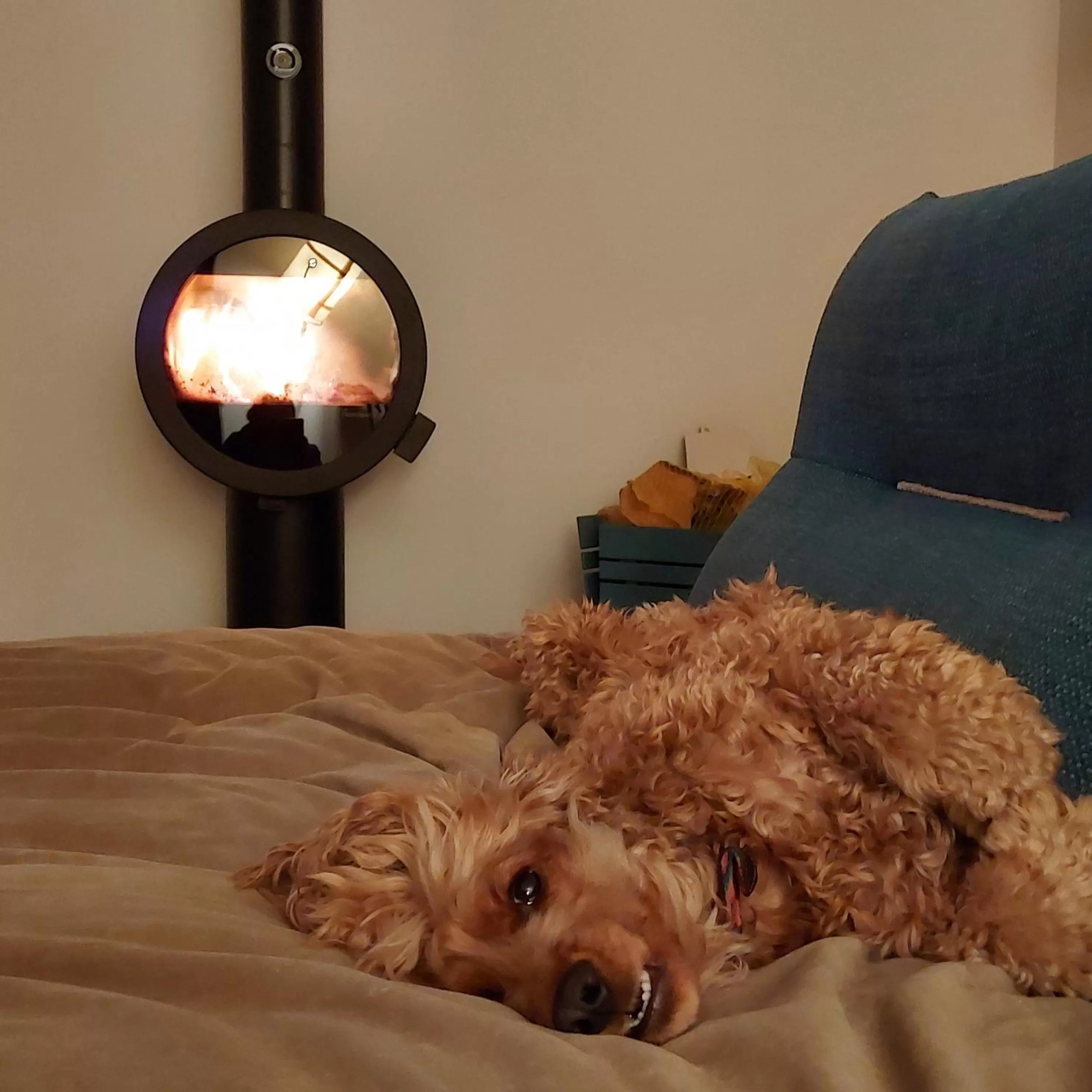 Maison Triton et Porcelaine