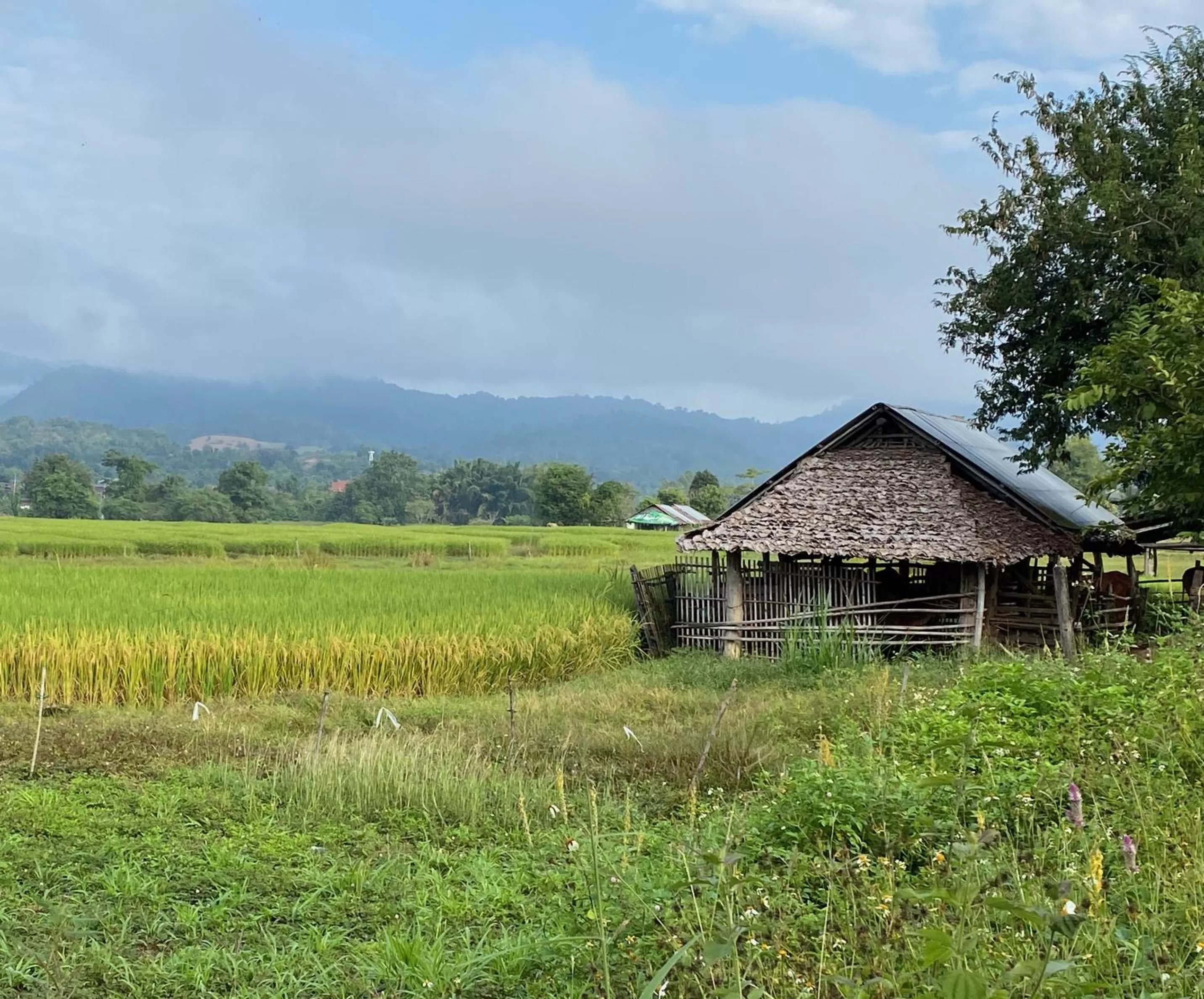 Neighbourhood in Pura Vida Pai Resort