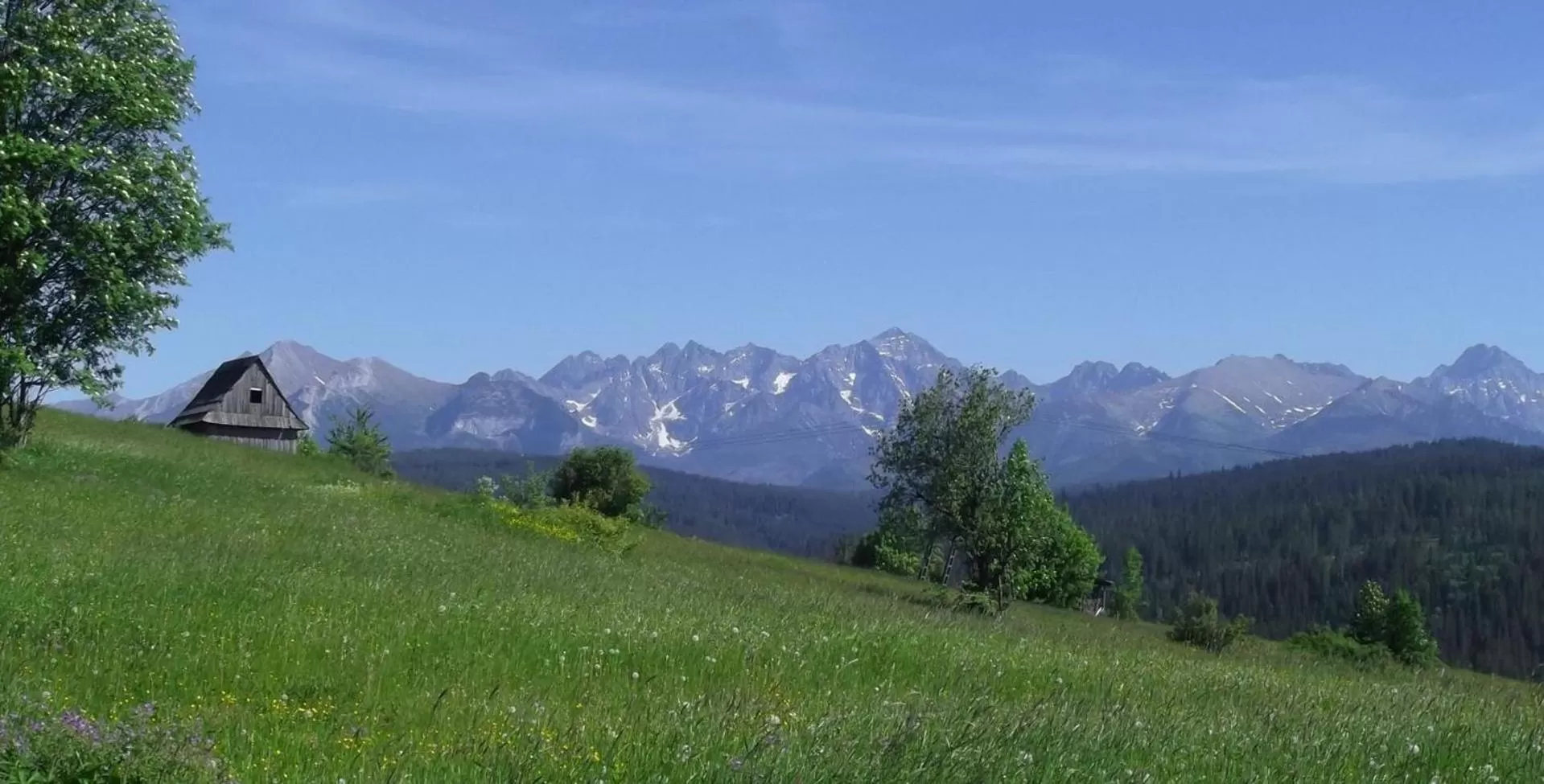 Natural landscape in Willa na Olczańskim Wierchu