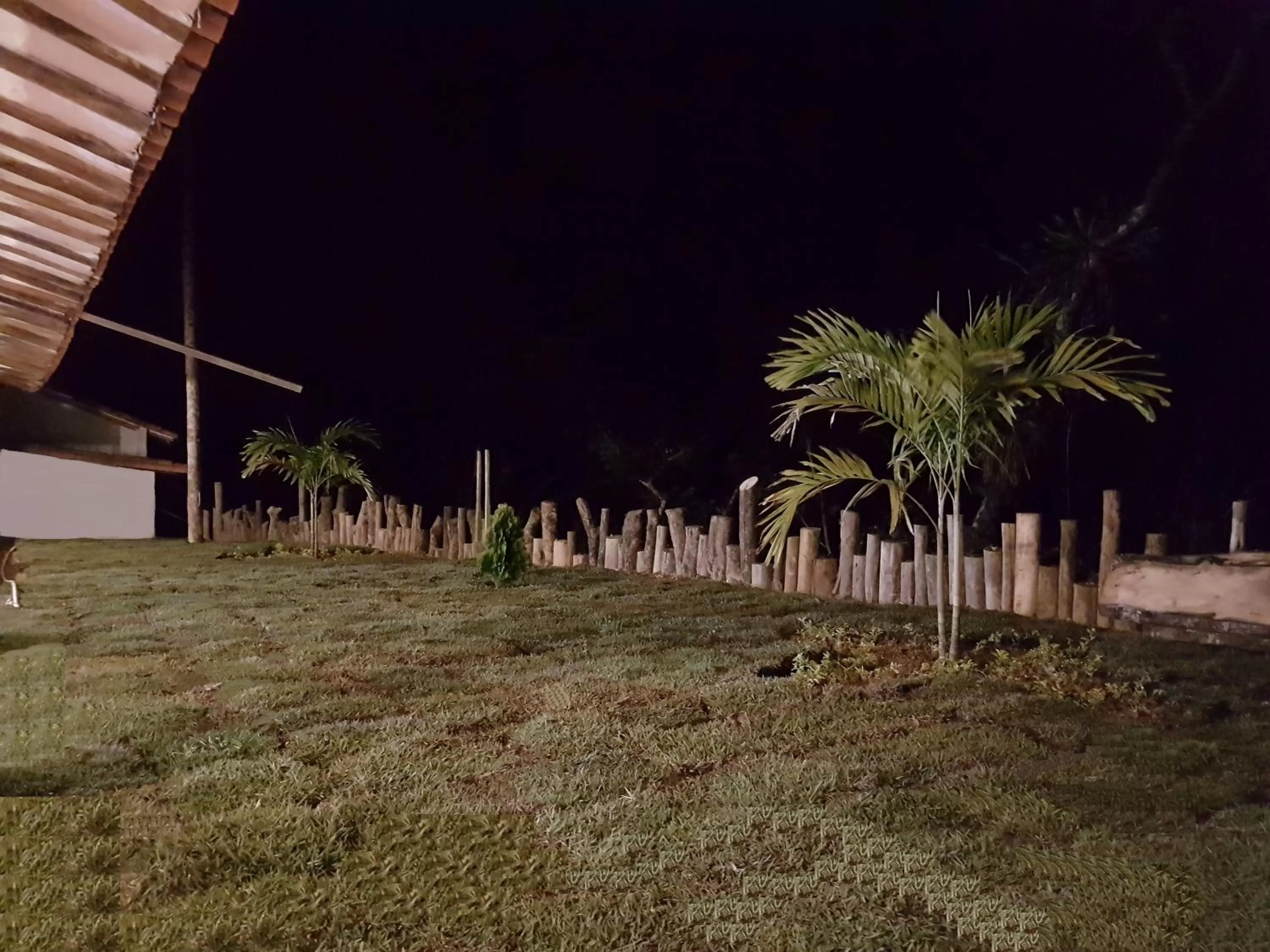 Garden in Terrazas de Guadalupe