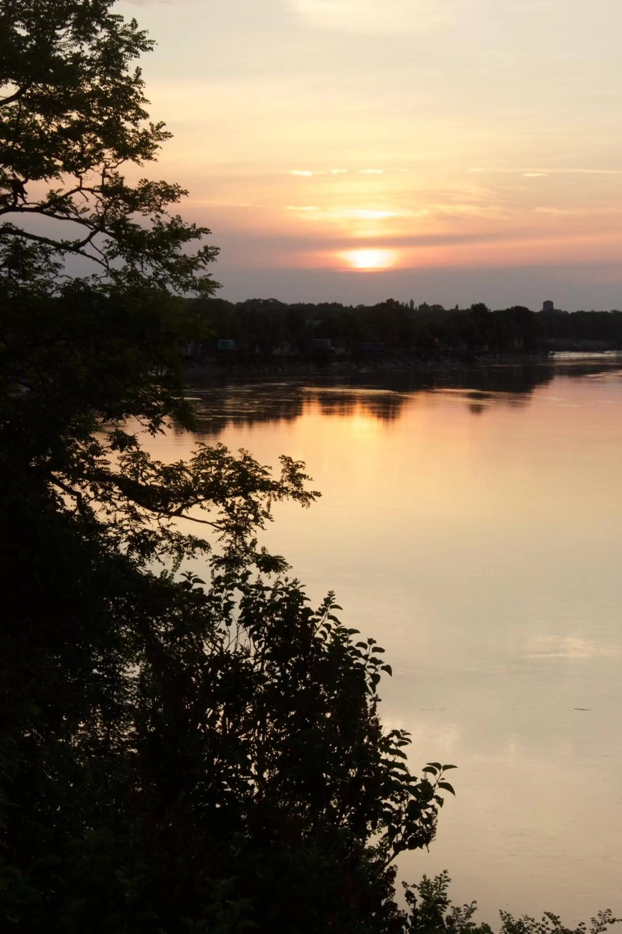 View (from property/room) in La Charentine