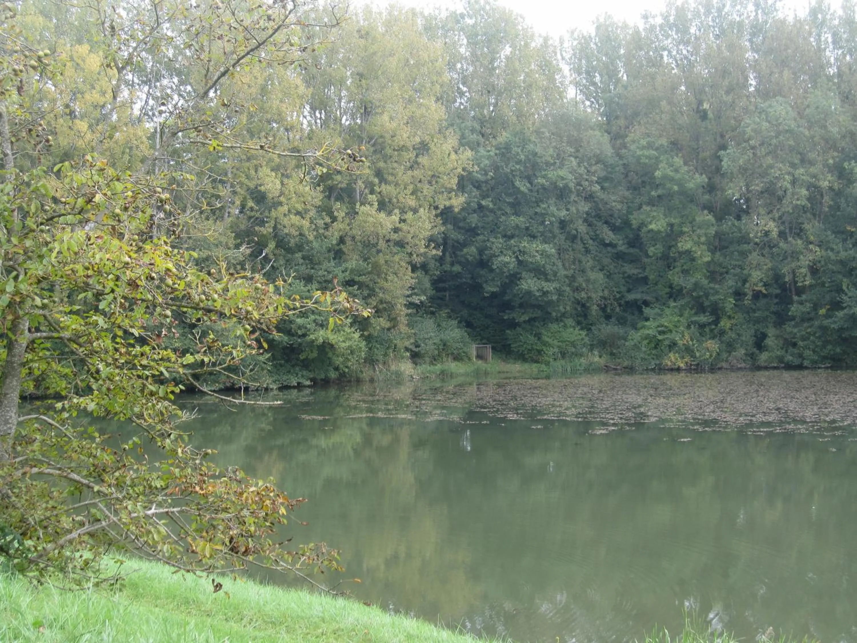 River view in La Coutrotte Becquine