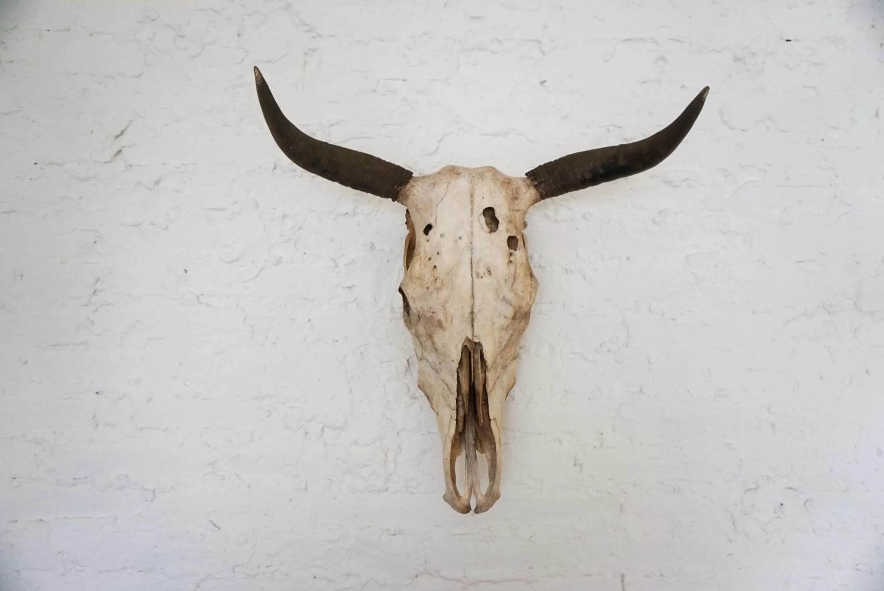 Casa Morelos by Barrio Mexico