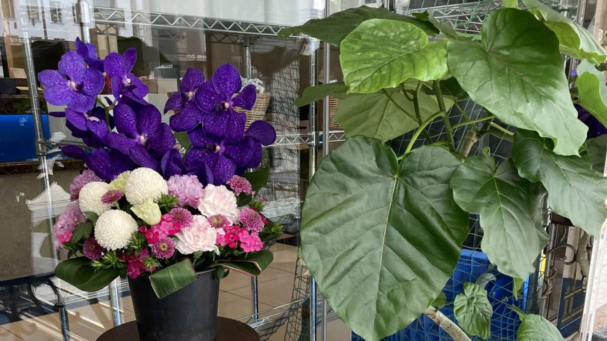 Other in Toyoko Inn Kintetsu Nara Ekimae