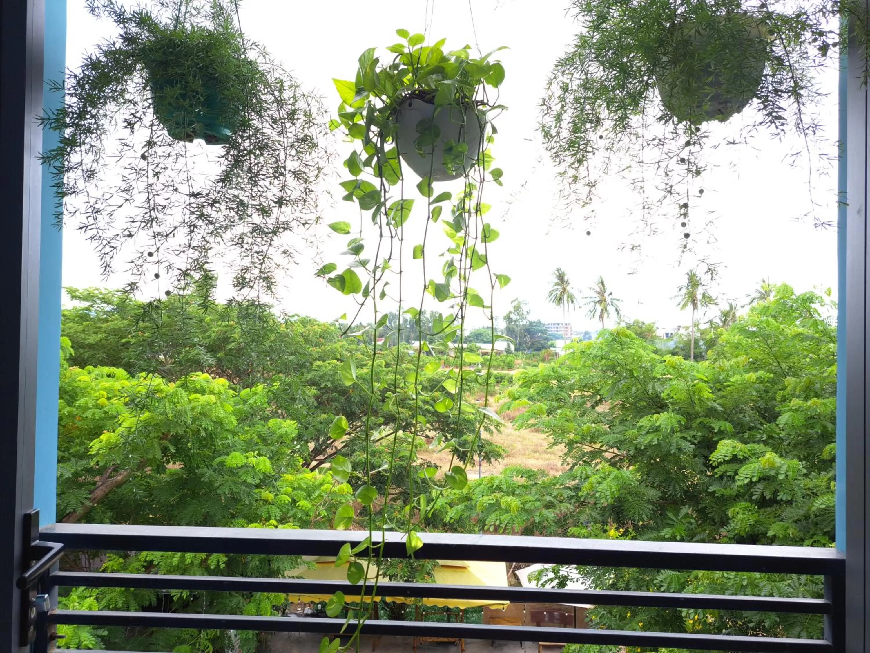 Day in GREEN TOWN hotel HỘI AN