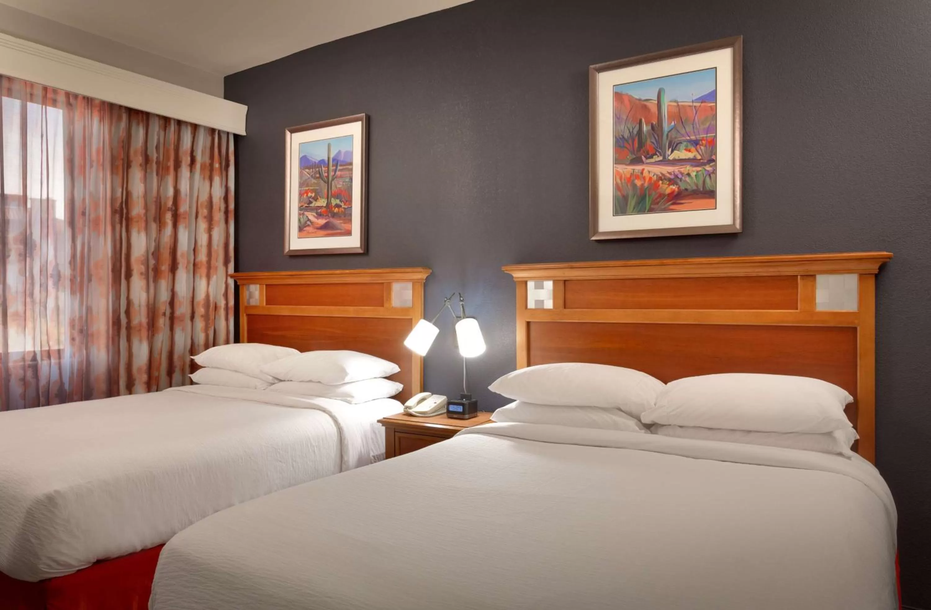 Non-Smoking Queen Suite with Mountain View in Embassy Suites Tucson - Paloma Village