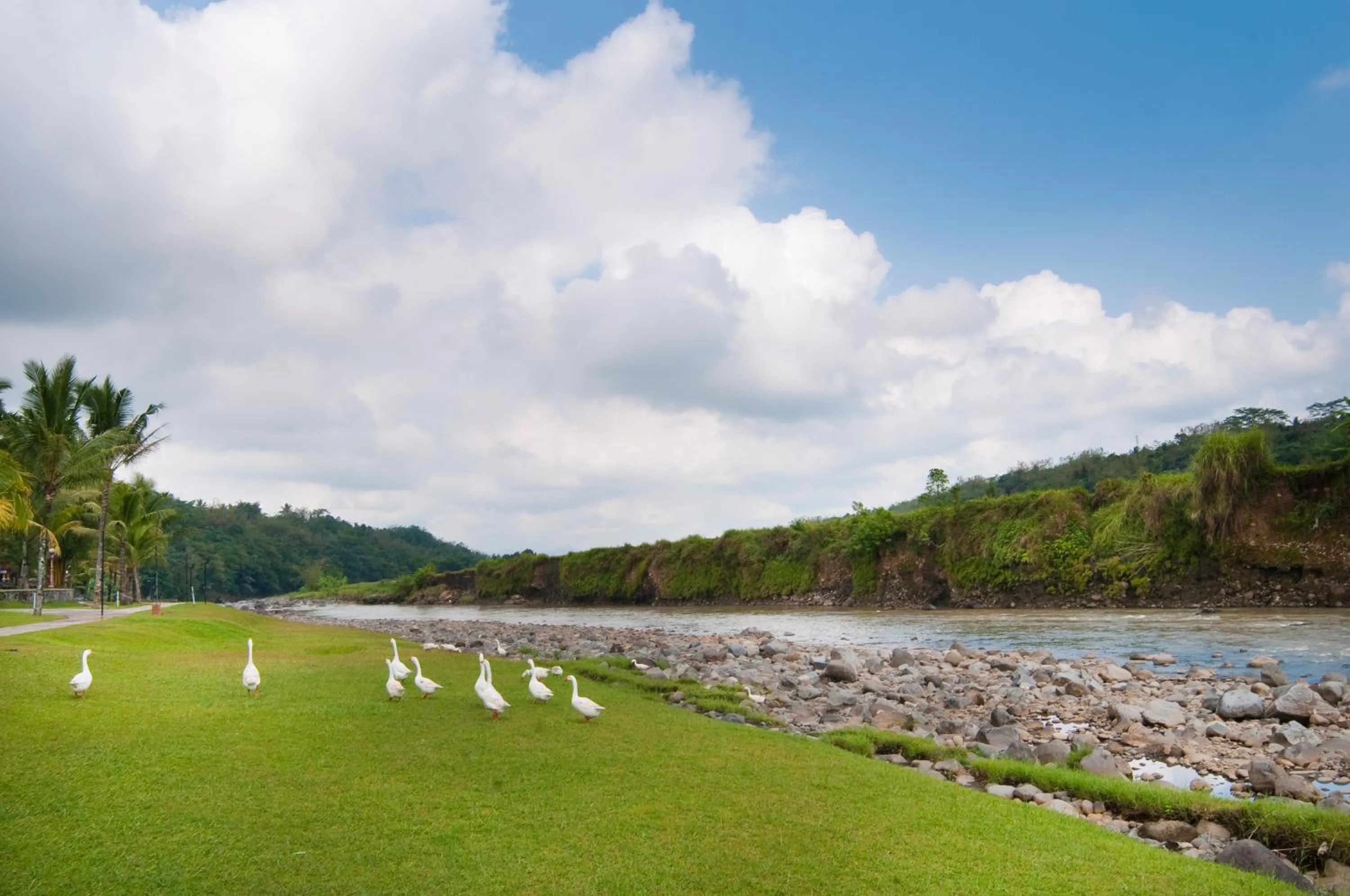 Natural landscape in Puri Asri Hotel & Resort