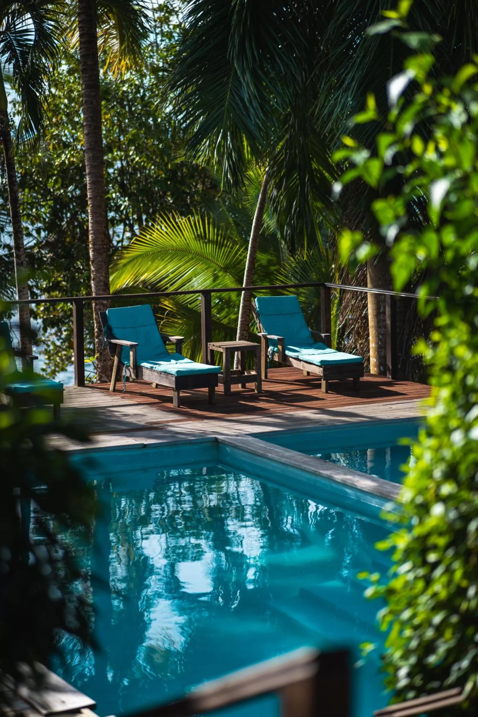 Swimming Pool in Bird Island Bungalows