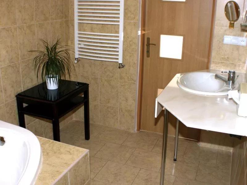 Bathroom in U Dobrého Lva