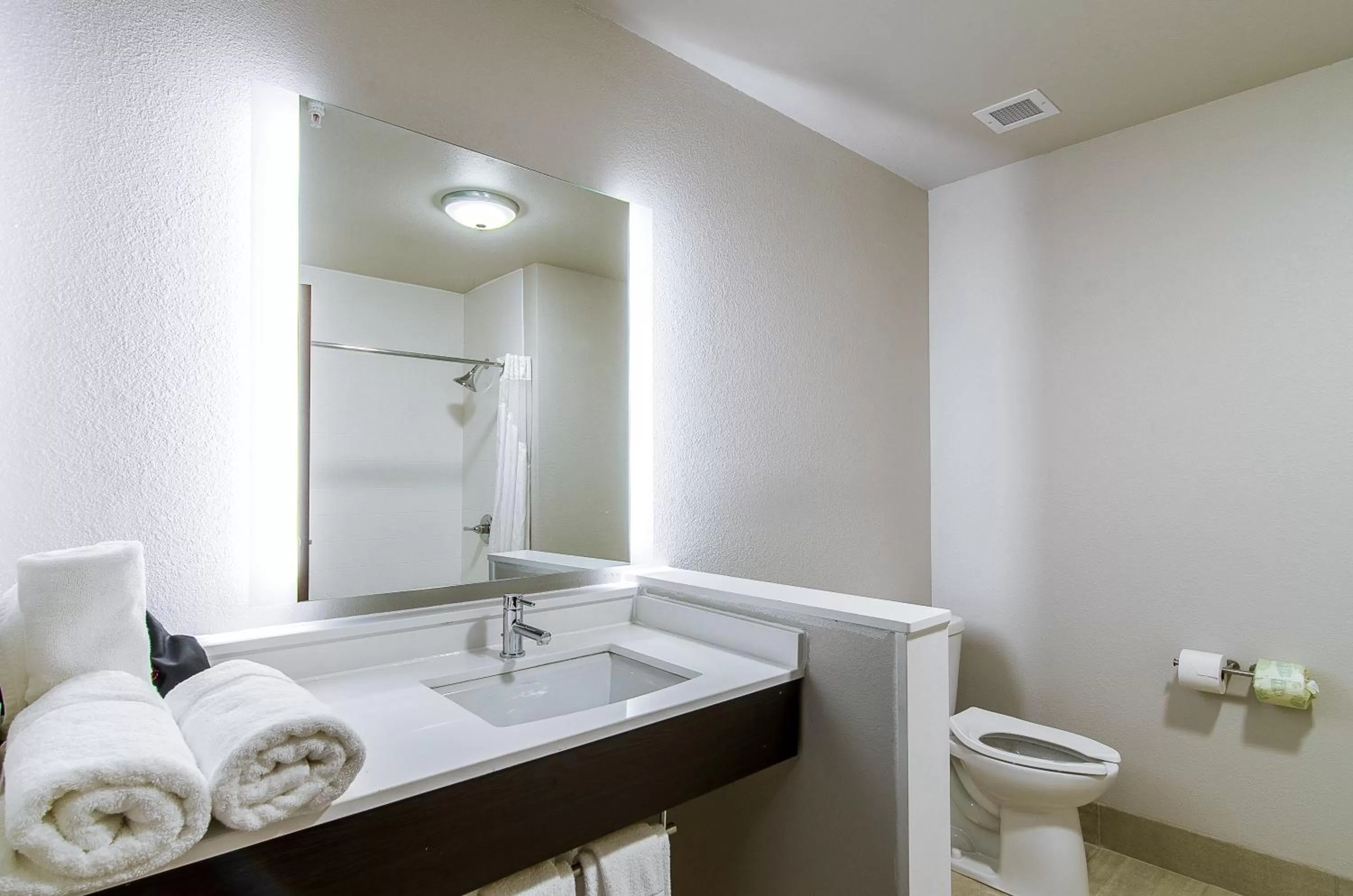 Bathroom in Holiday Inn Express & Suites - Atchison by IHG