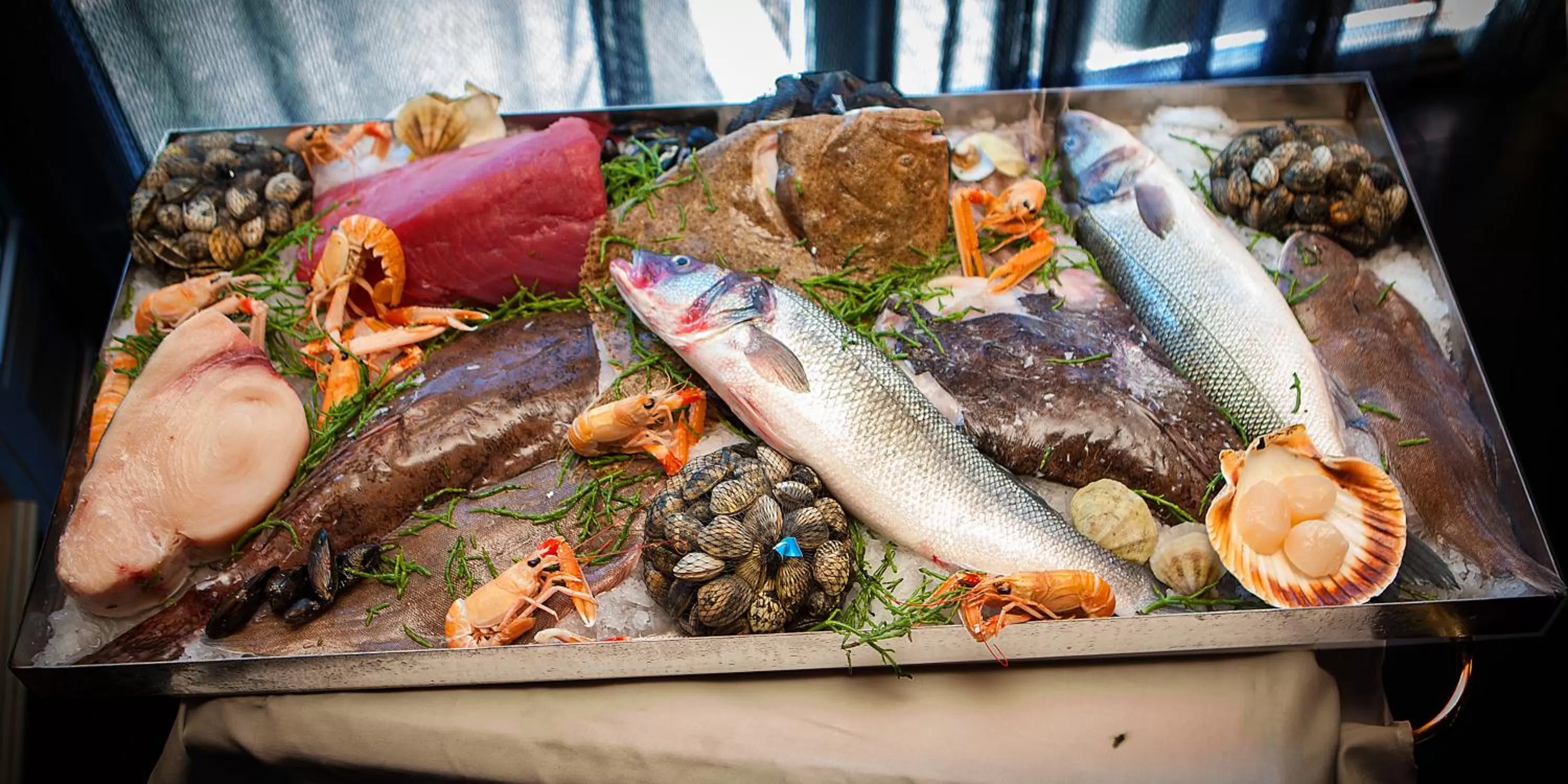 Lunch in Boutique Hotel Adria