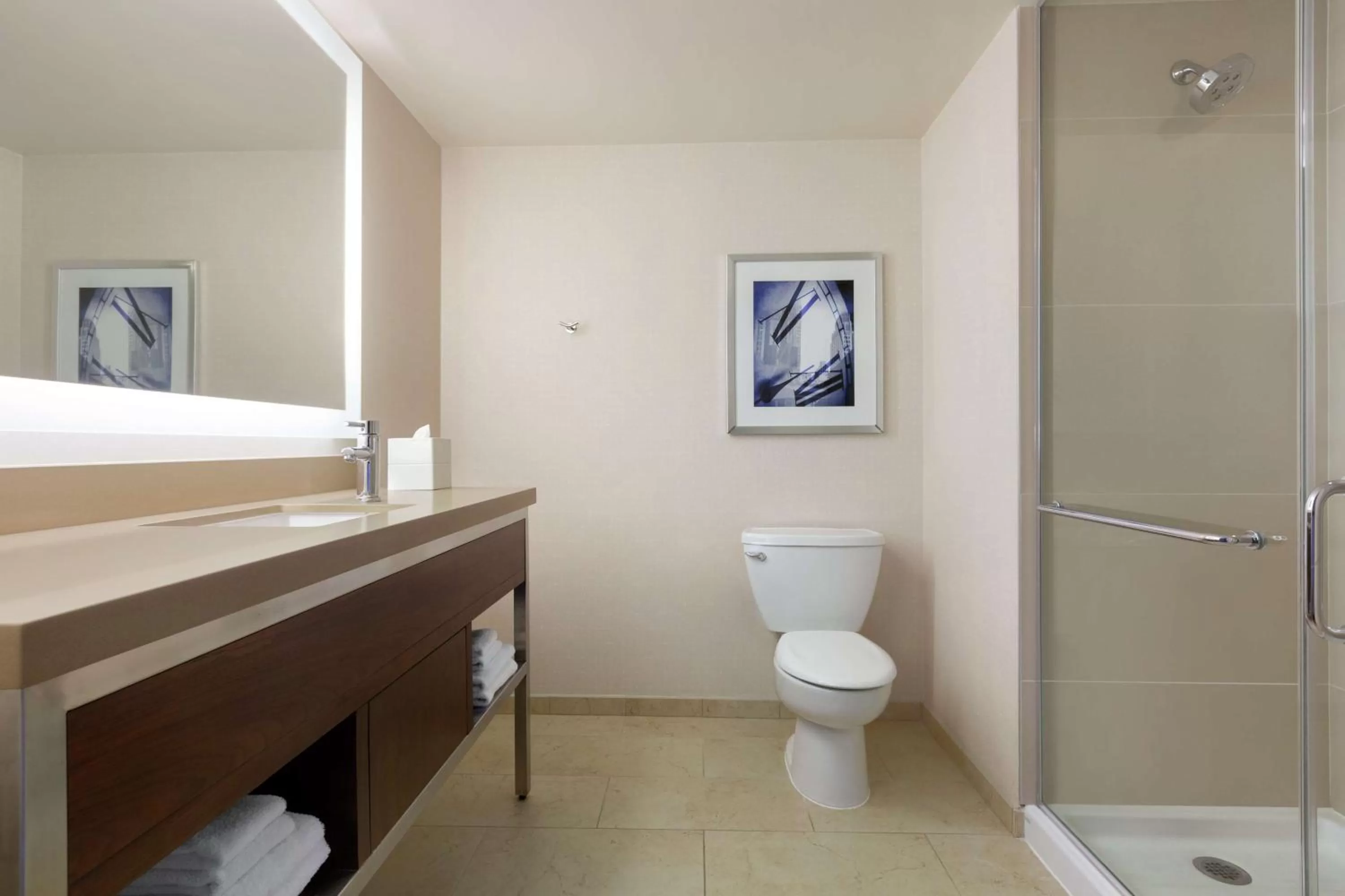 Bathroom in Hilton New York Times Square