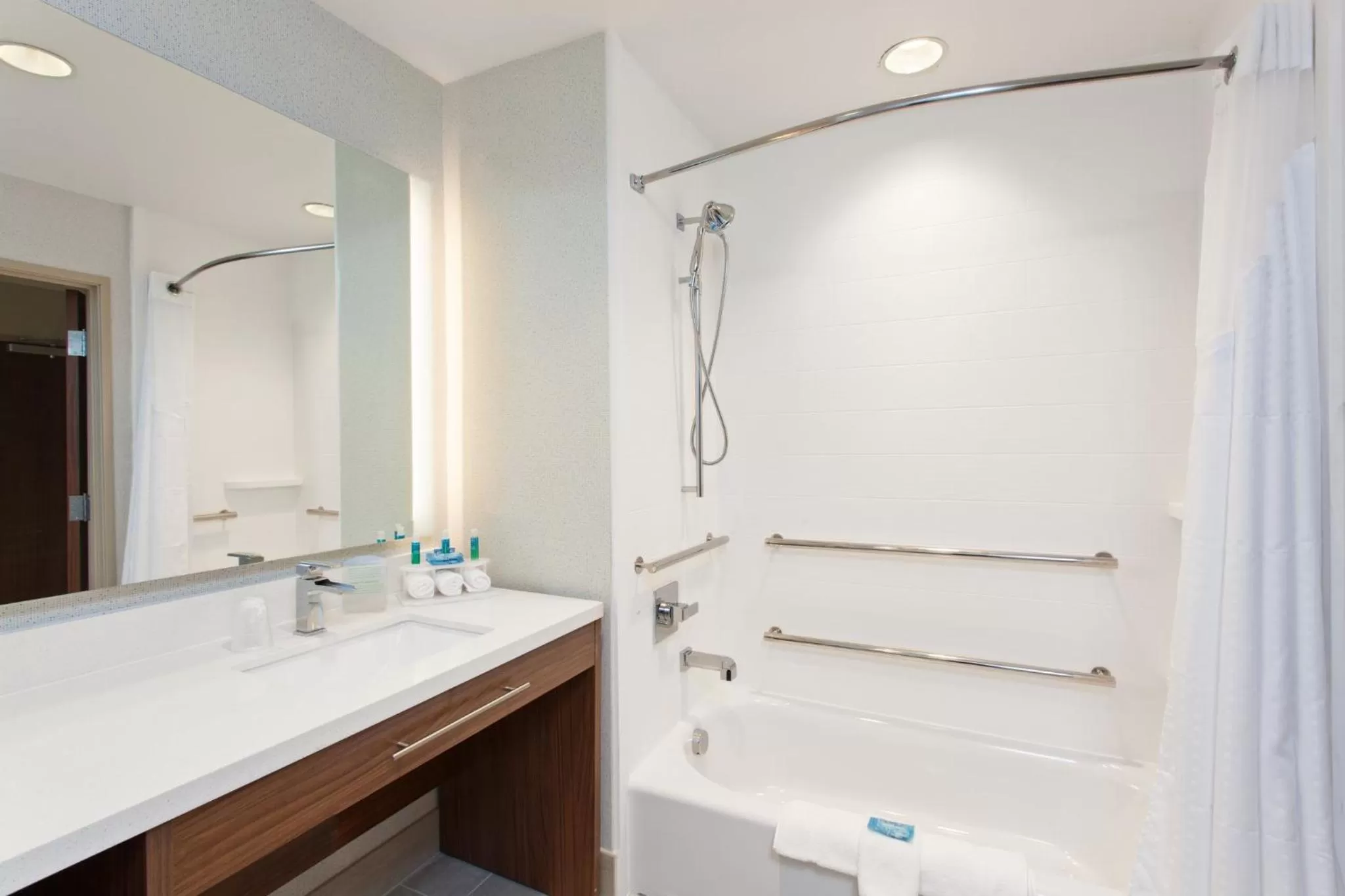 Bathroom in Holiday Inn Express & Suites Houston S - Medical Ctr Area by IHG