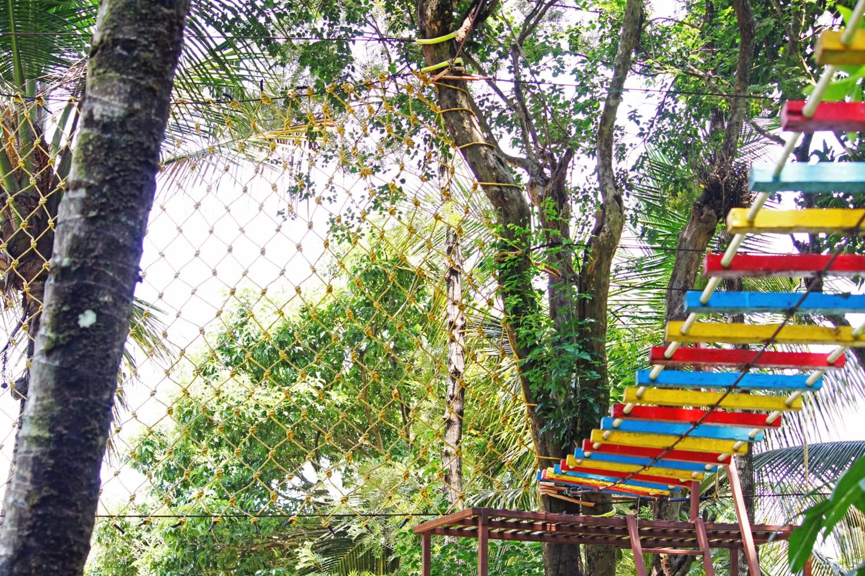 Activities in CS County Resort