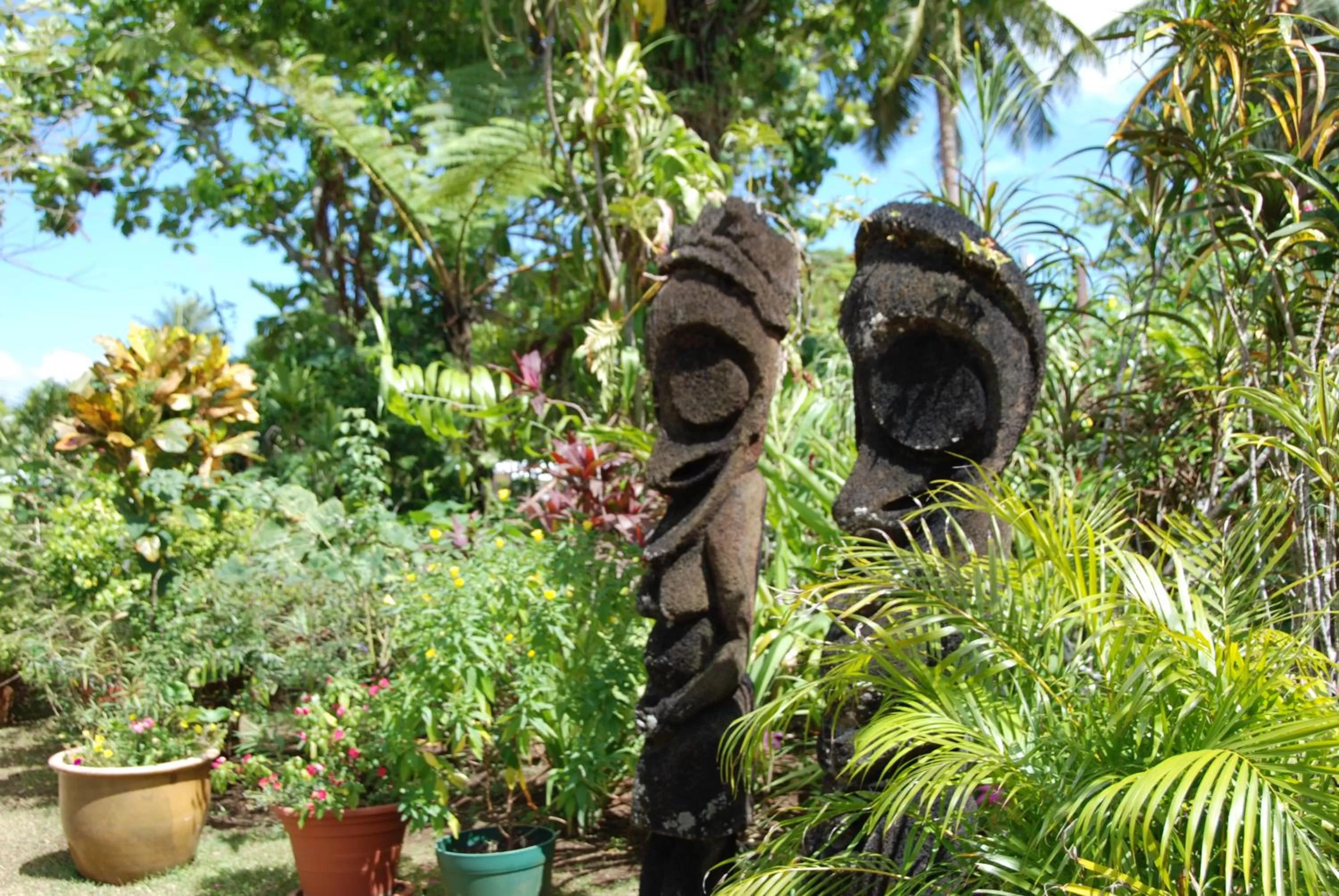 Garden in Hotel Santo Vanuatu