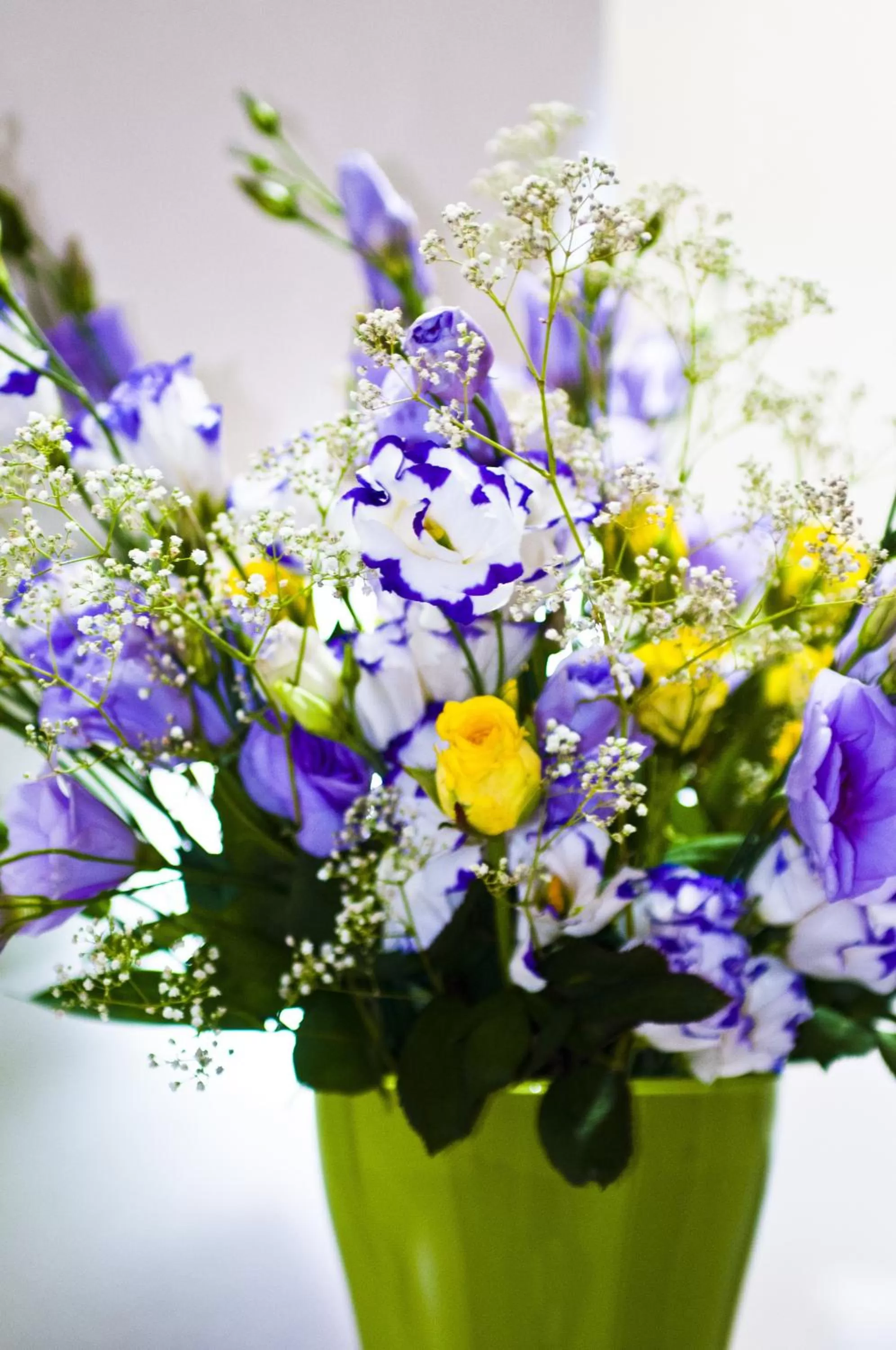 Area and facilities in Domus Fontis