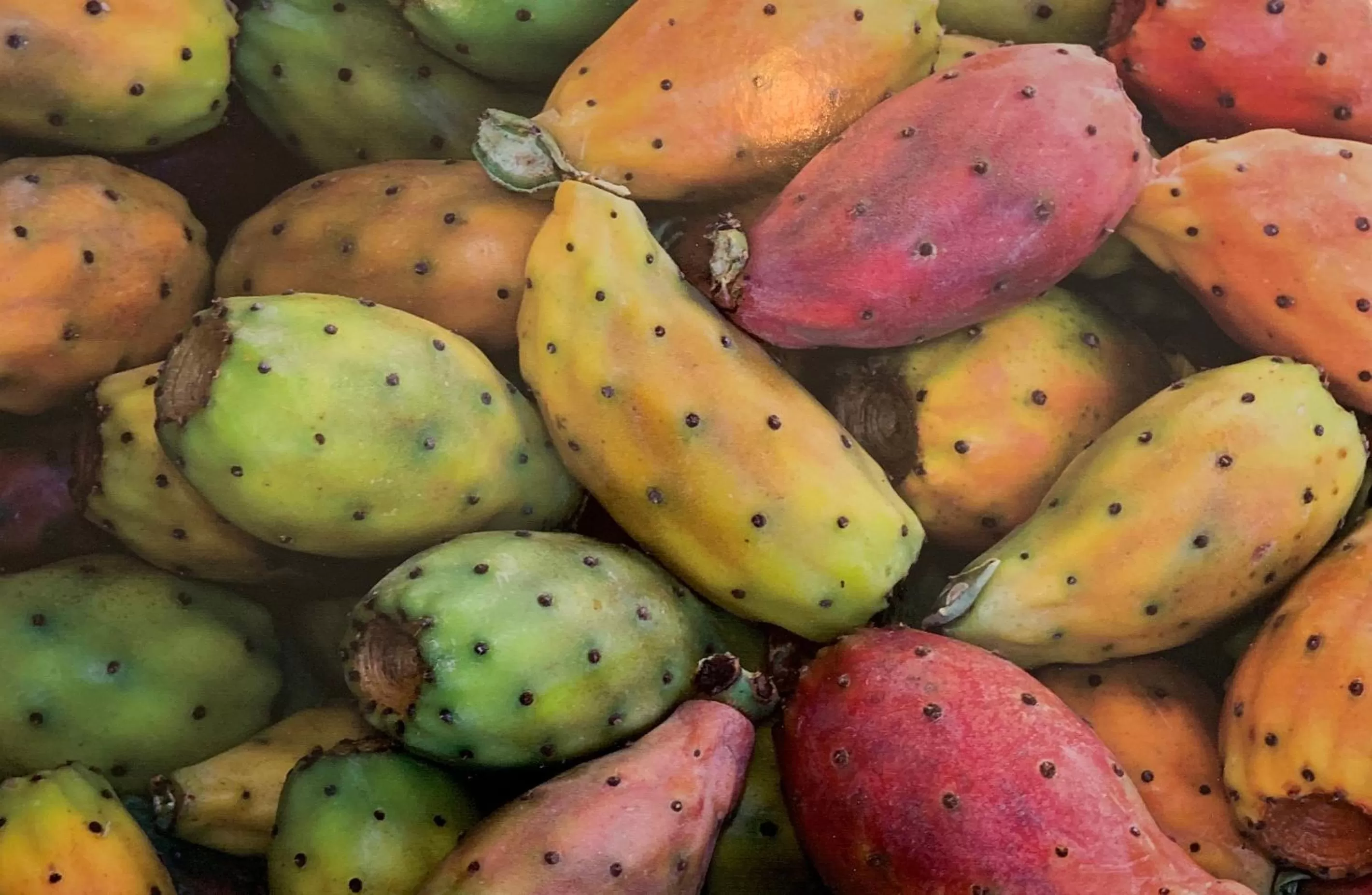 Food and drinks in Le Maestranze Deluxe Rooms