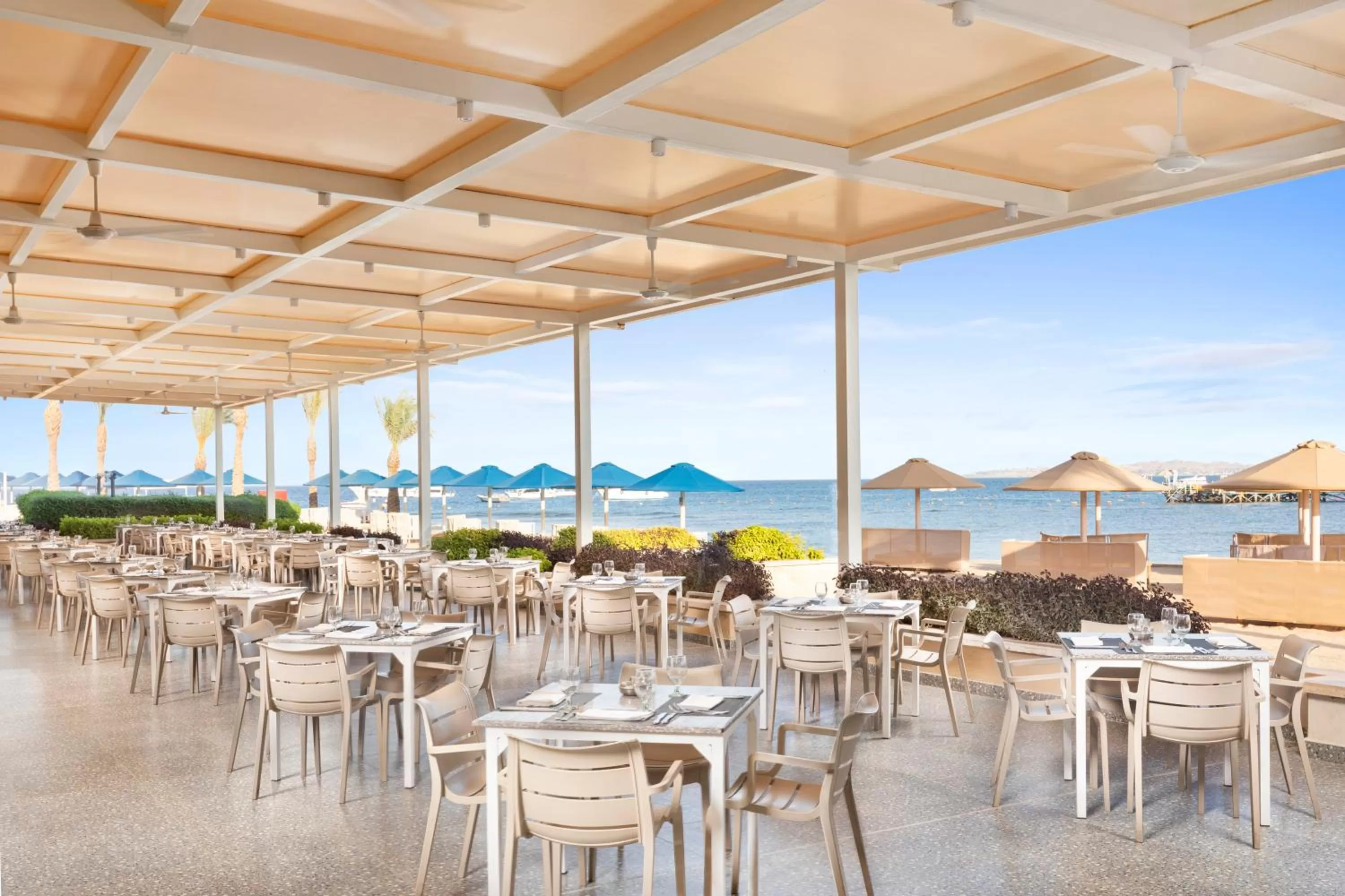 Restaurant/places to eat in Beach Albatros Aqua Park - Hurghada