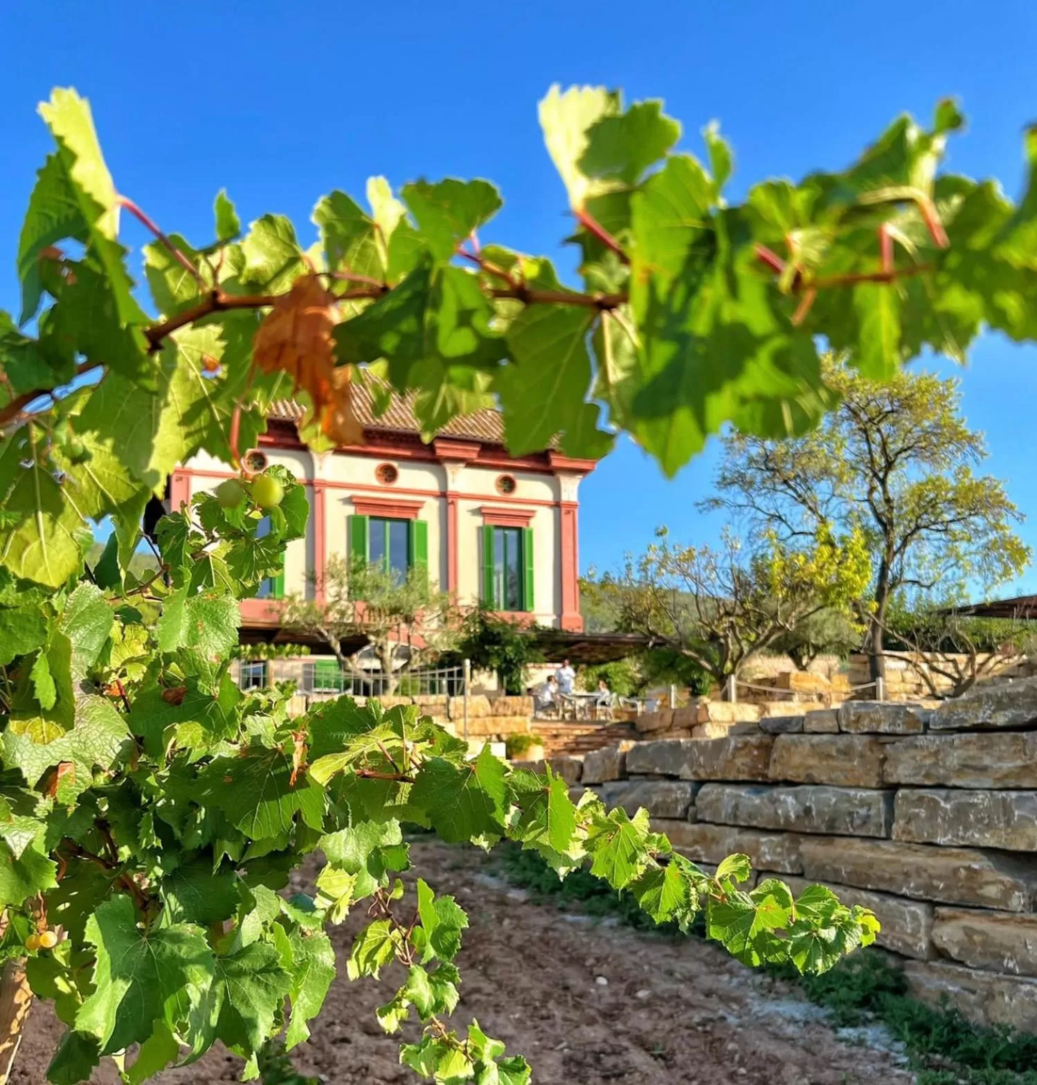 Hotel Montrubí 1771 - Slow Winery Hotel - Adults only