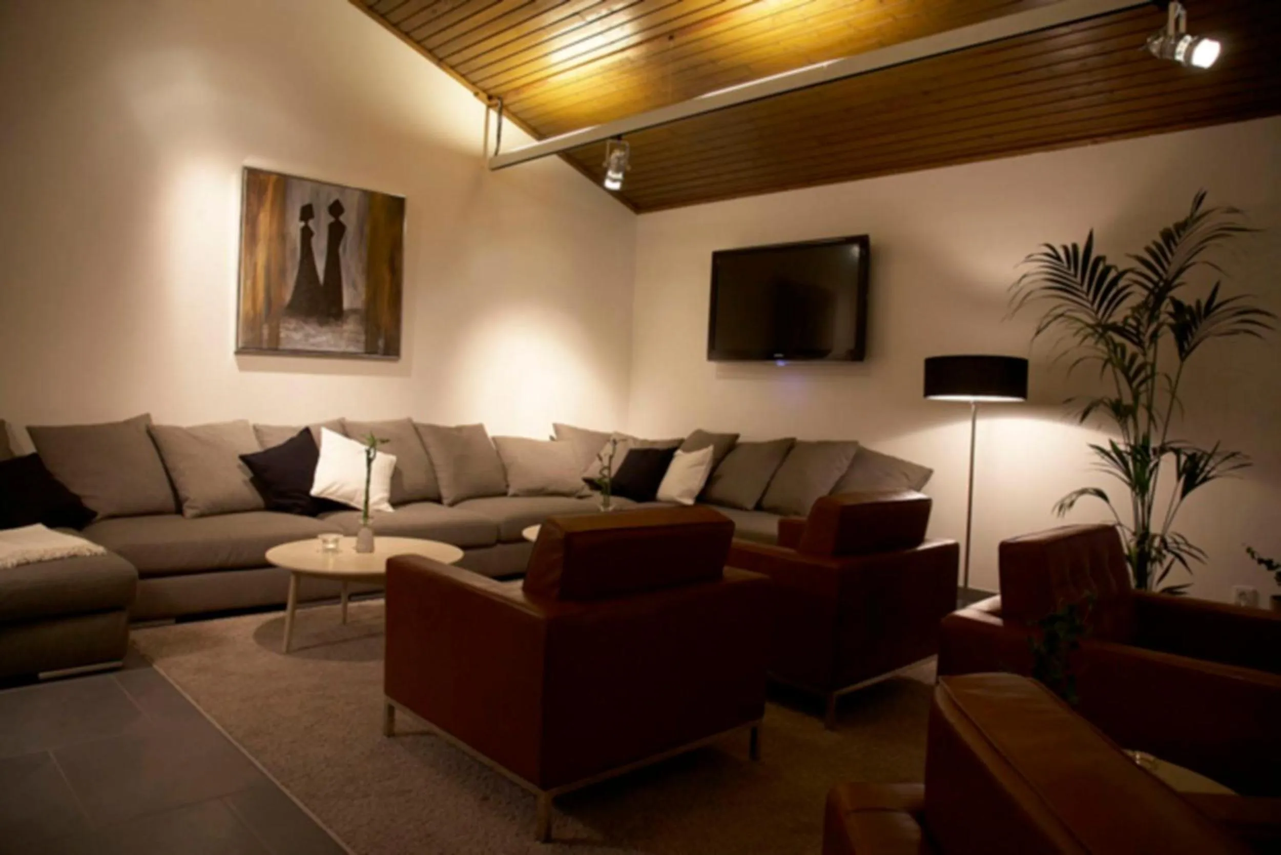 TV and multimedia in Hotel Njord