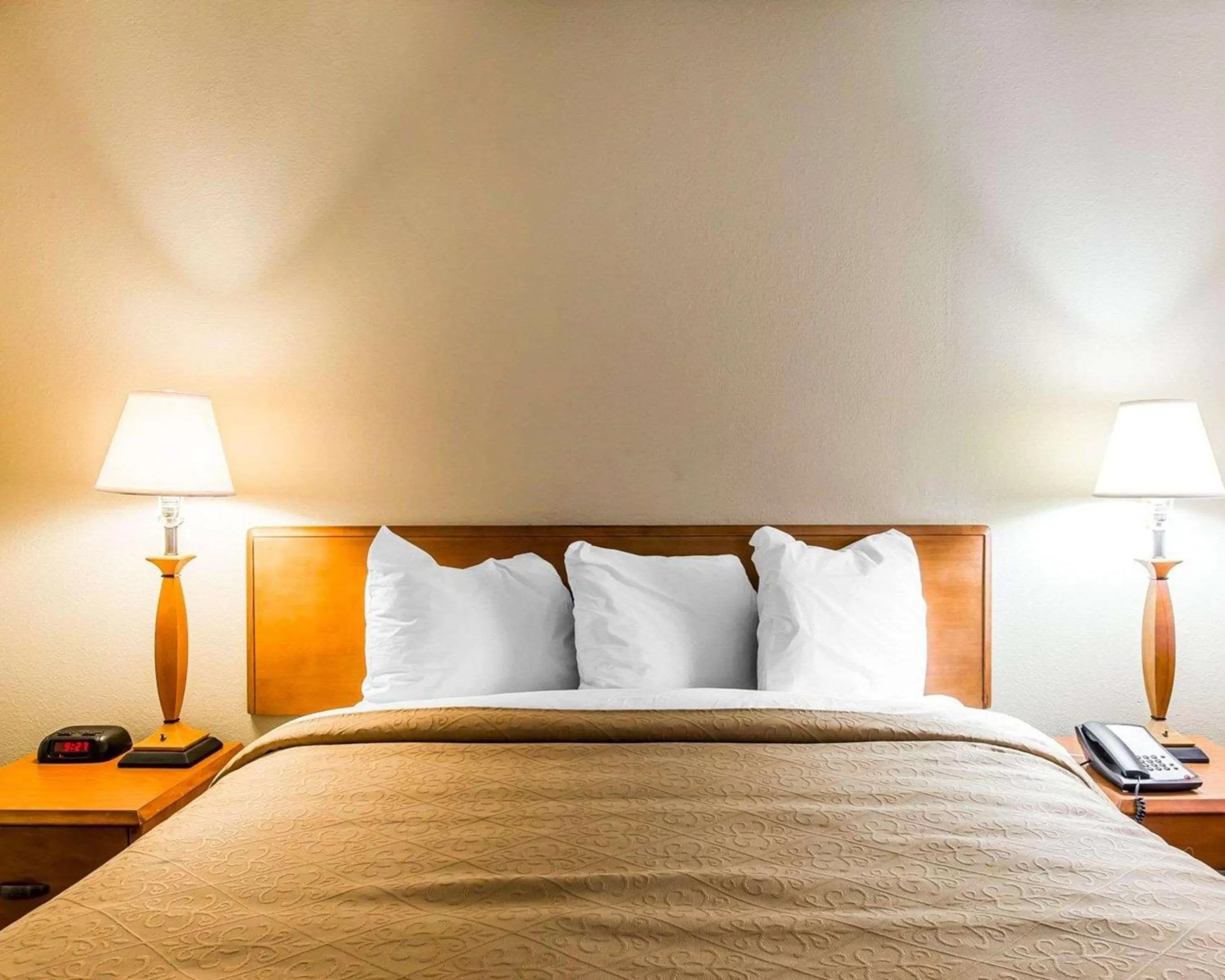 Photo of the whole room, Bed in Quality Inn At the Mall - Valdosta