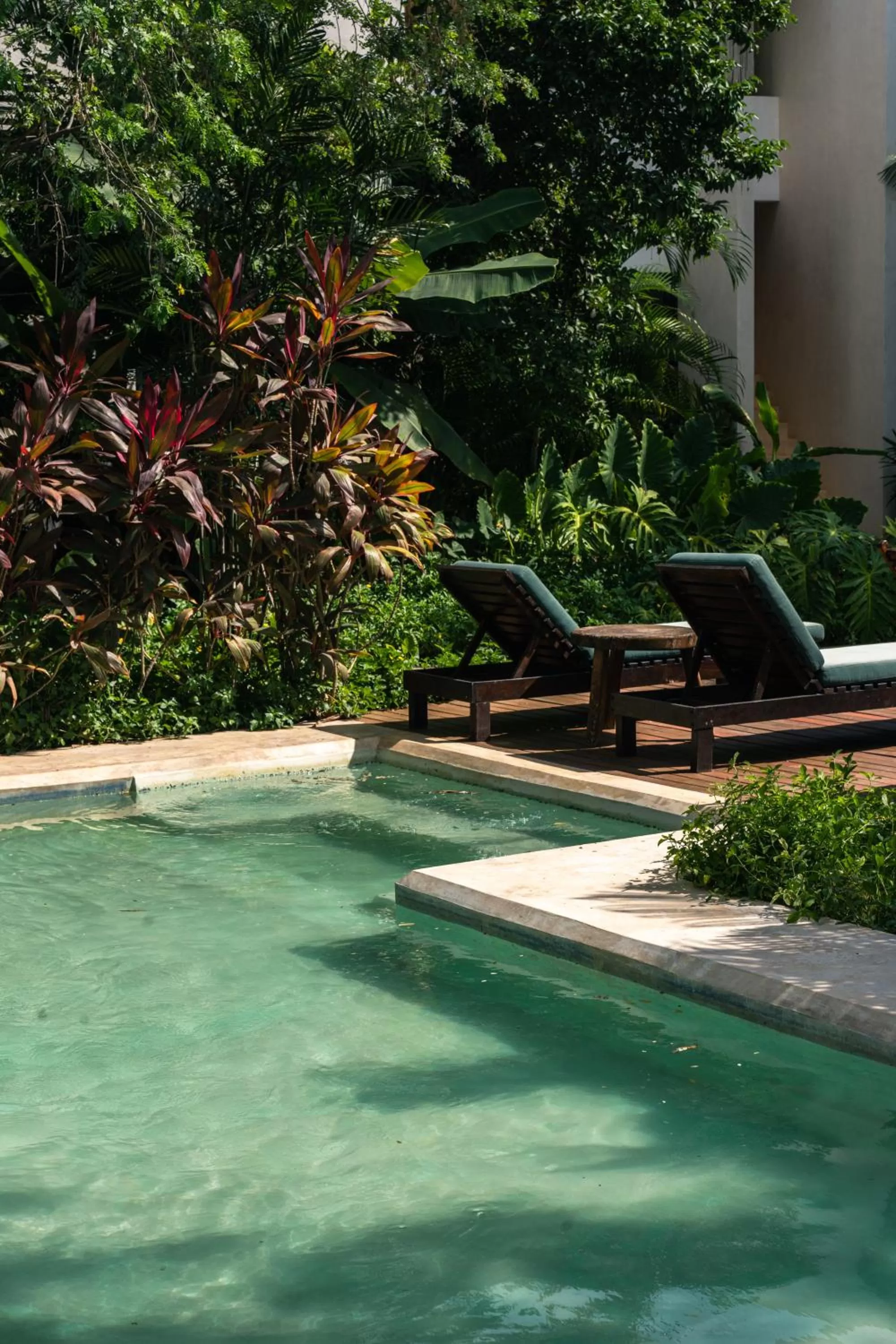 Swimming pool in Panacea Condo Tulum